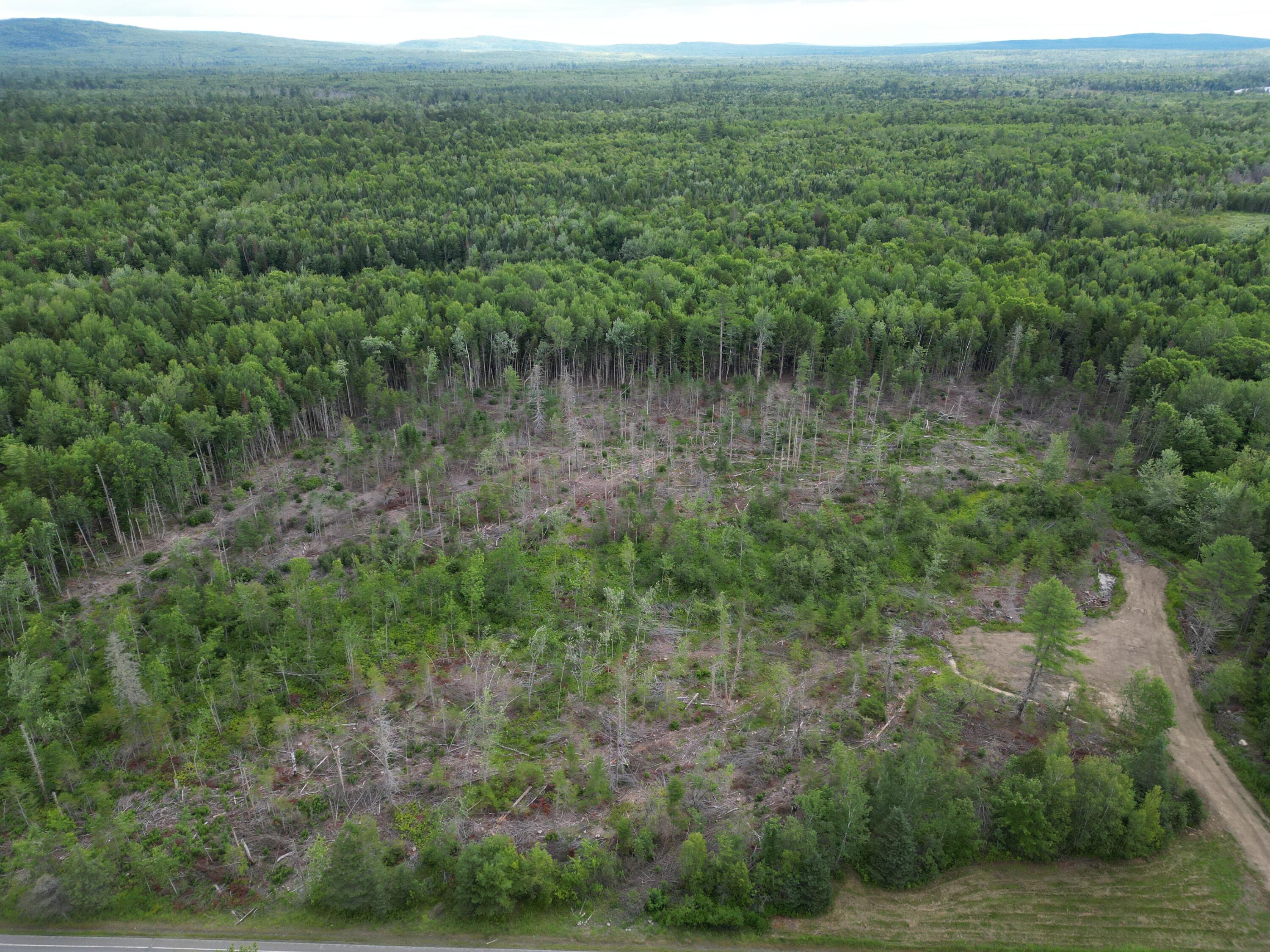 Lot 16 Route 1 Property Photo 8