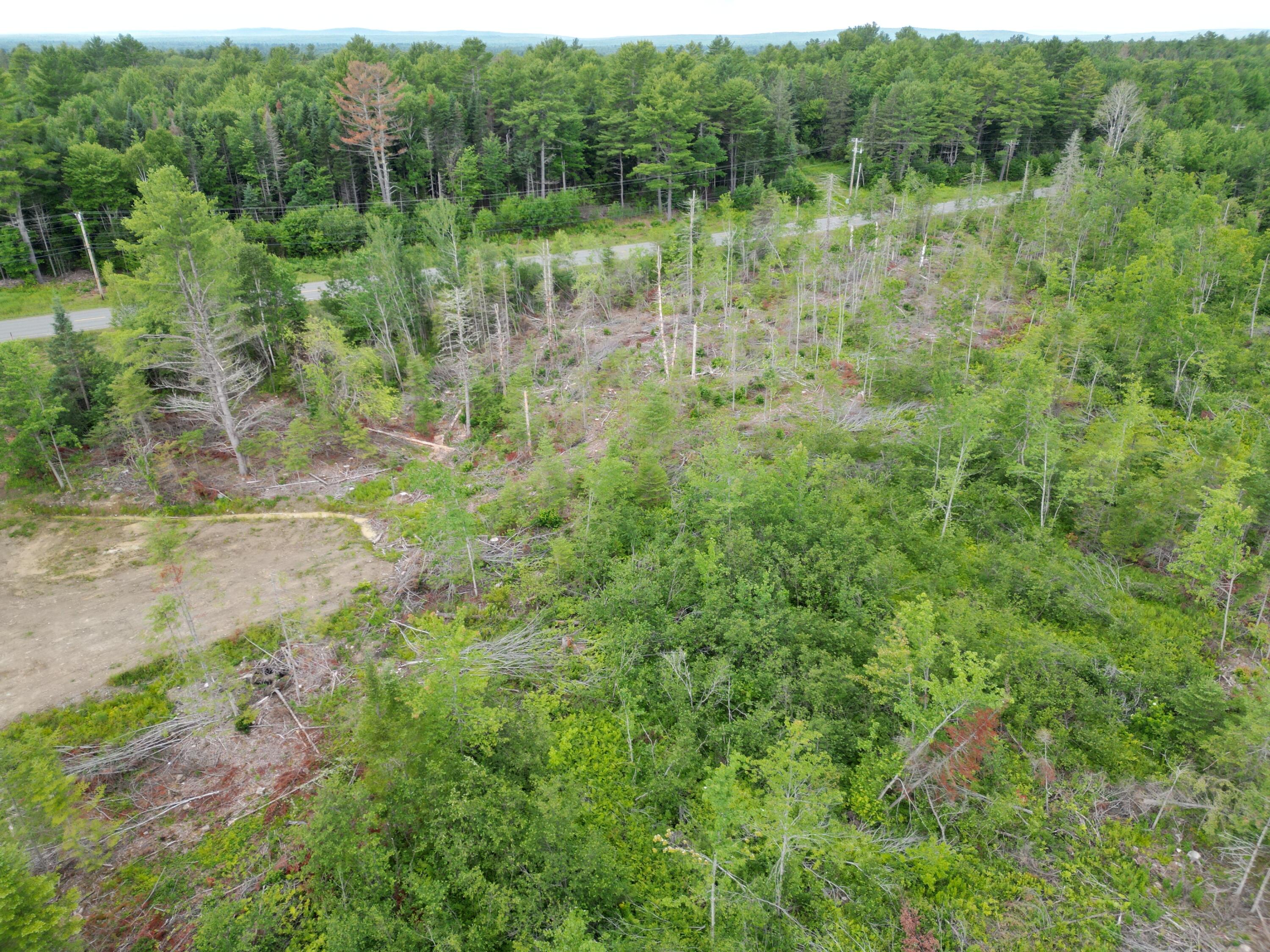Lot 16 Route 1 Property Photo 9
