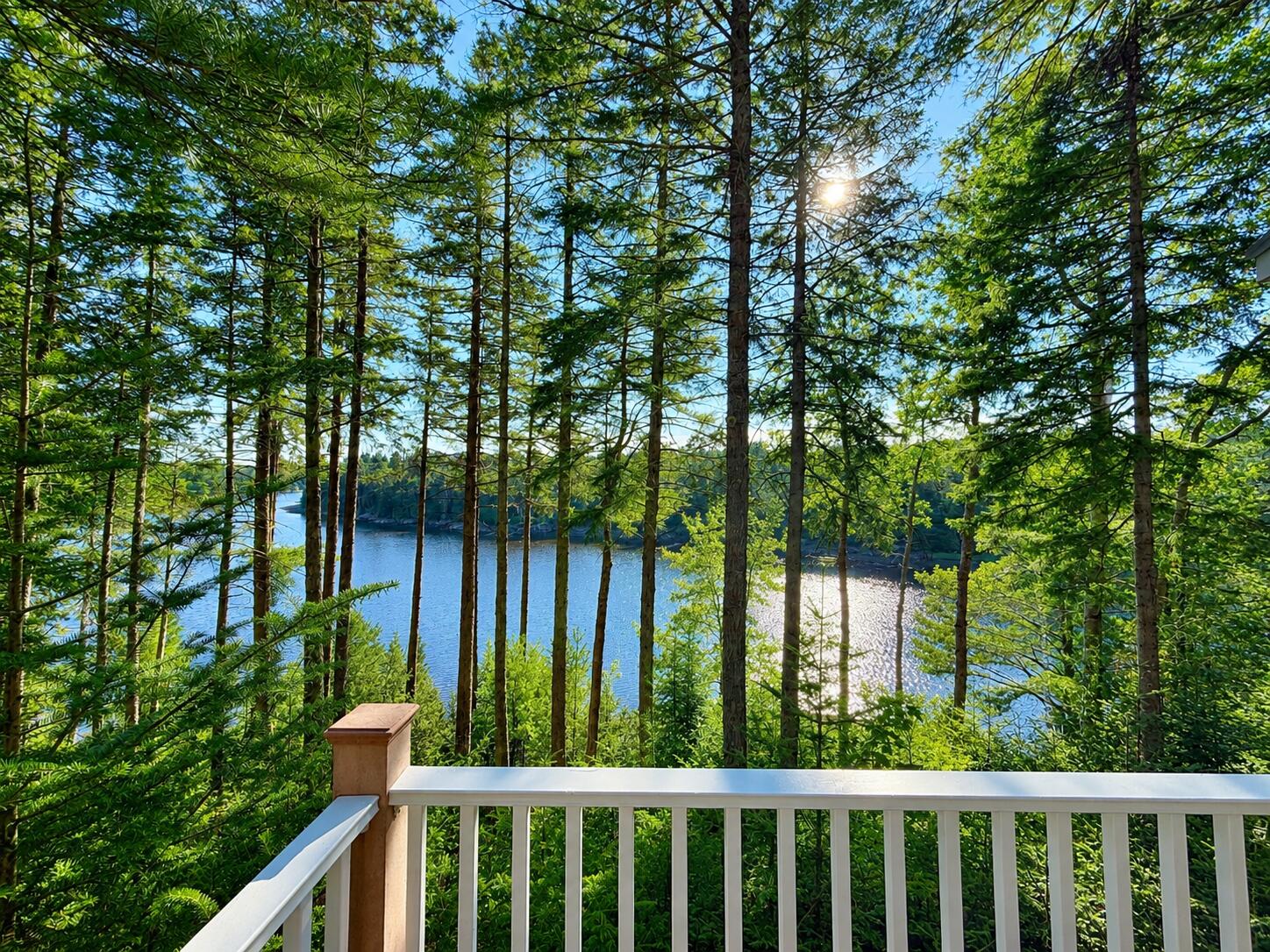 131 Pioneer Farm Way Property Photo 38