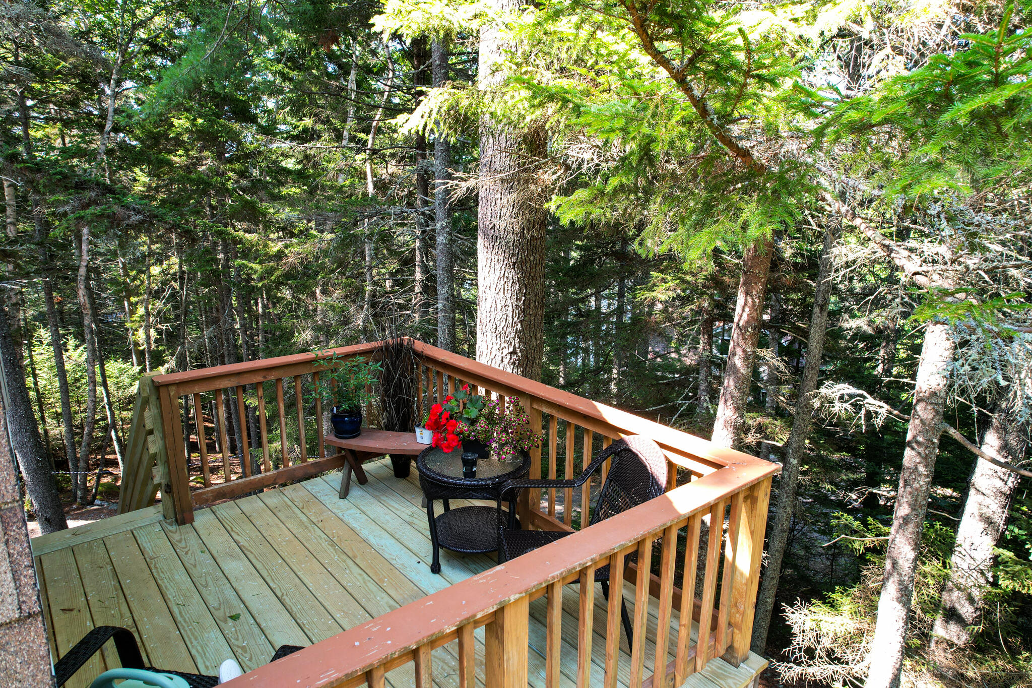 131 Pioneer Farm Way Property Photo 47