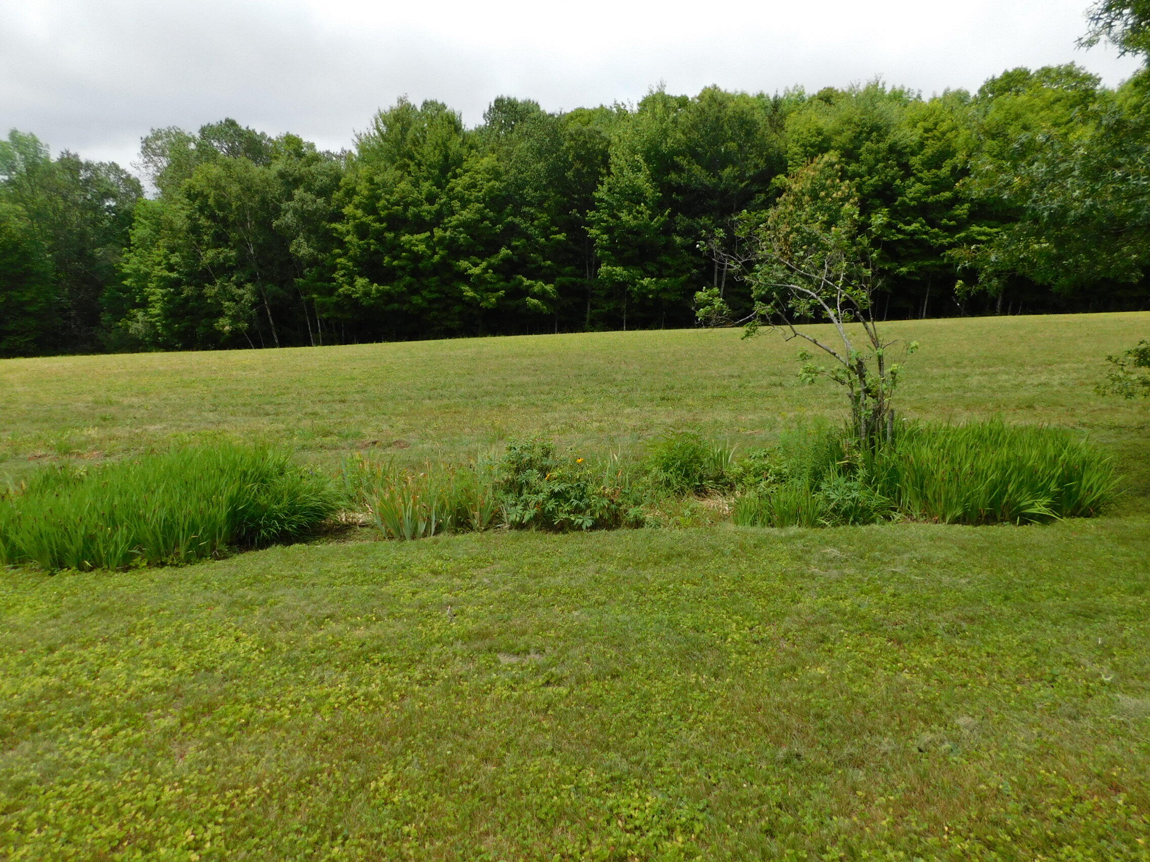 41 Brown Farm Road Property Photo 14