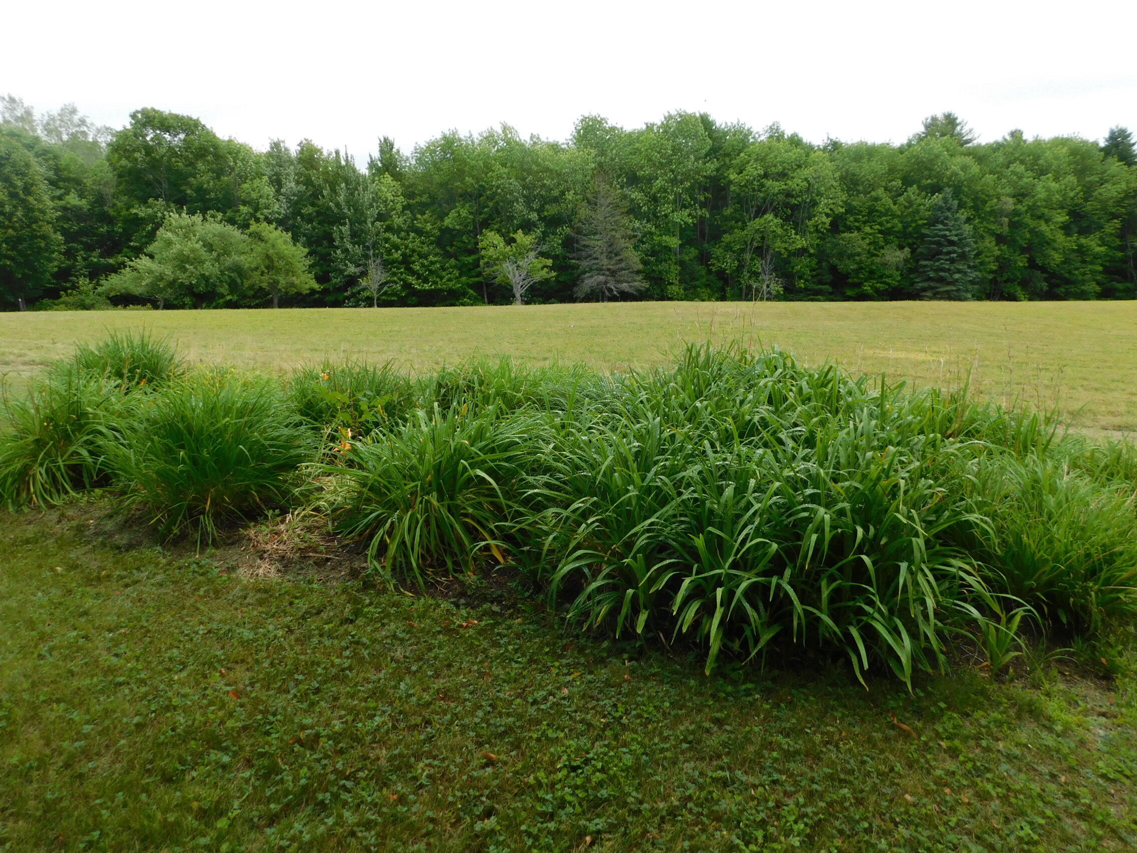 41 Brown Farm Road Property Photo 19