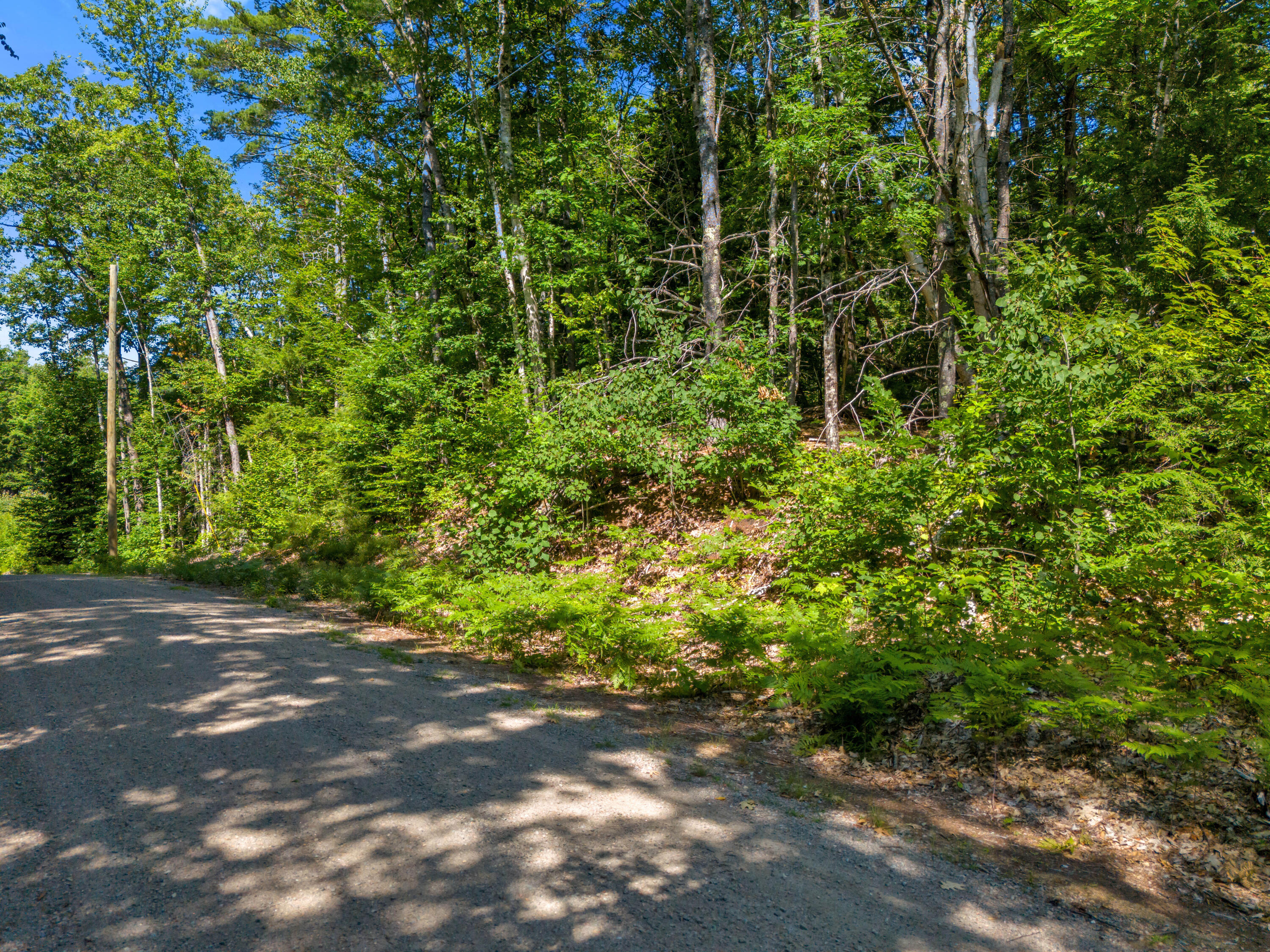 49 Fernalds Hill Way Property Photo 14