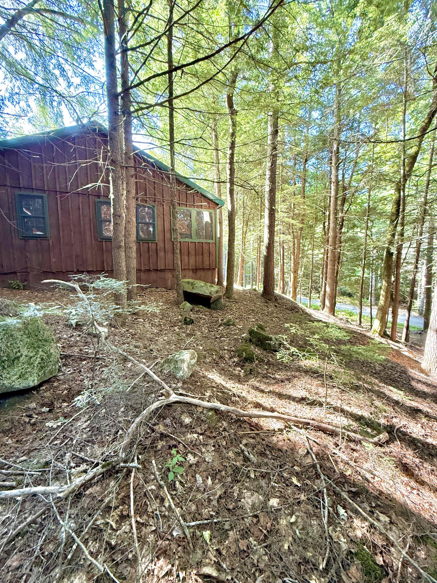 Lot 121 Upper Lead Mountain Pond Road Property Photo 5