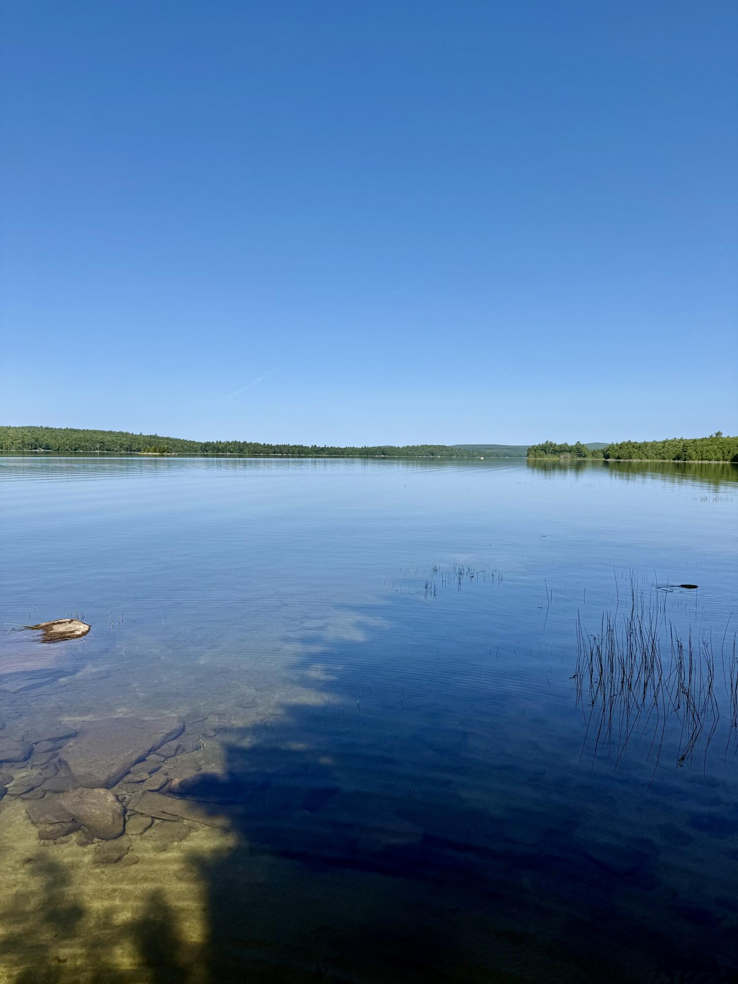 Lot 121 Upper Lead Mountain Pond Road Property Photo 42