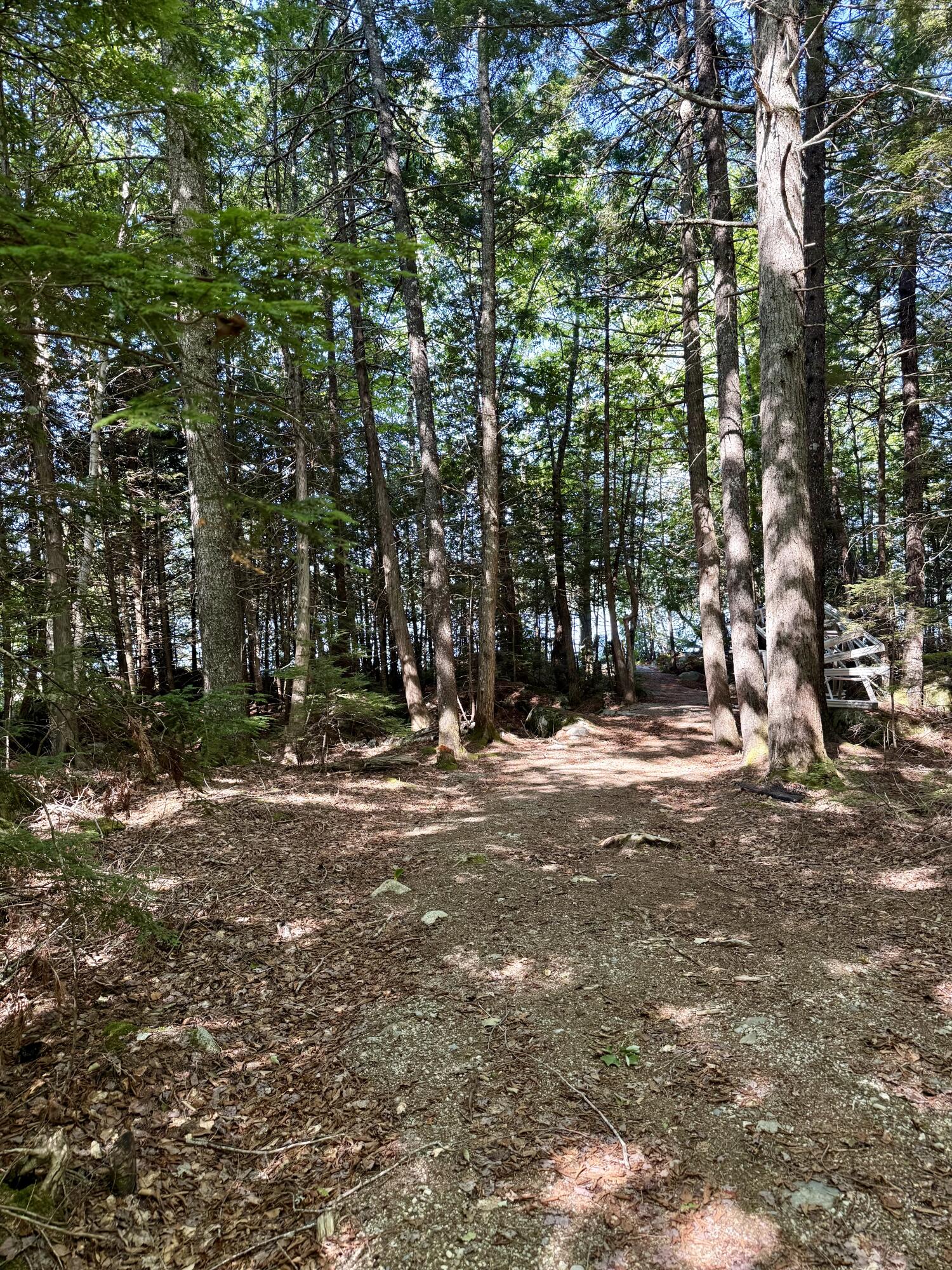 Lot 121 Upper Lead Mountain Pond Road Property Photo 47