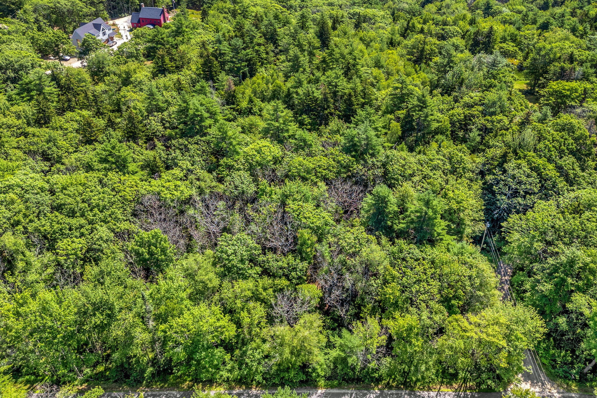Lot 5 Parker Head Road Property Photo 19