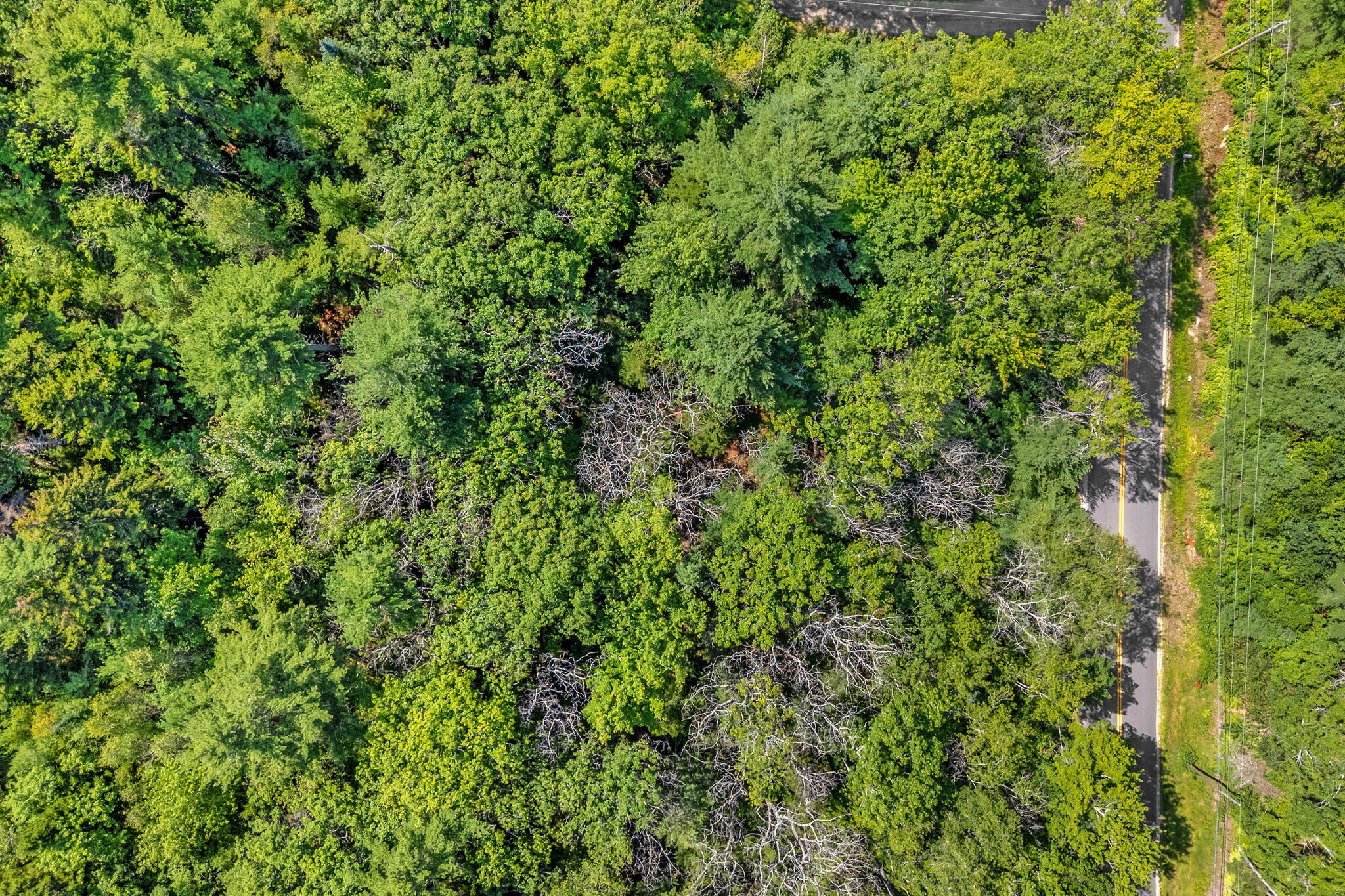 Lot 5 Parker Head Road Property Photo 28