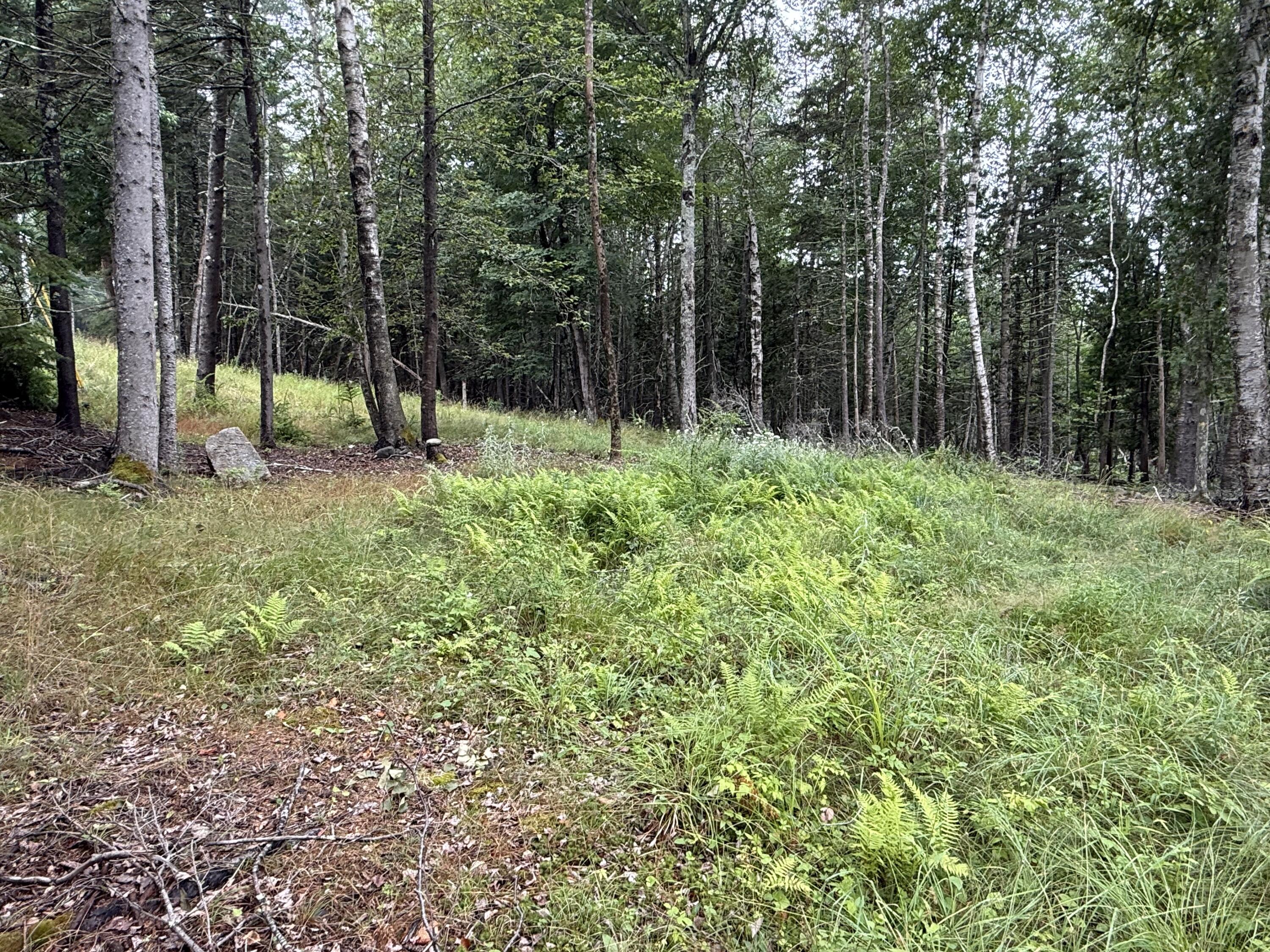 1236 Meadow Pond Road Property Photo 2