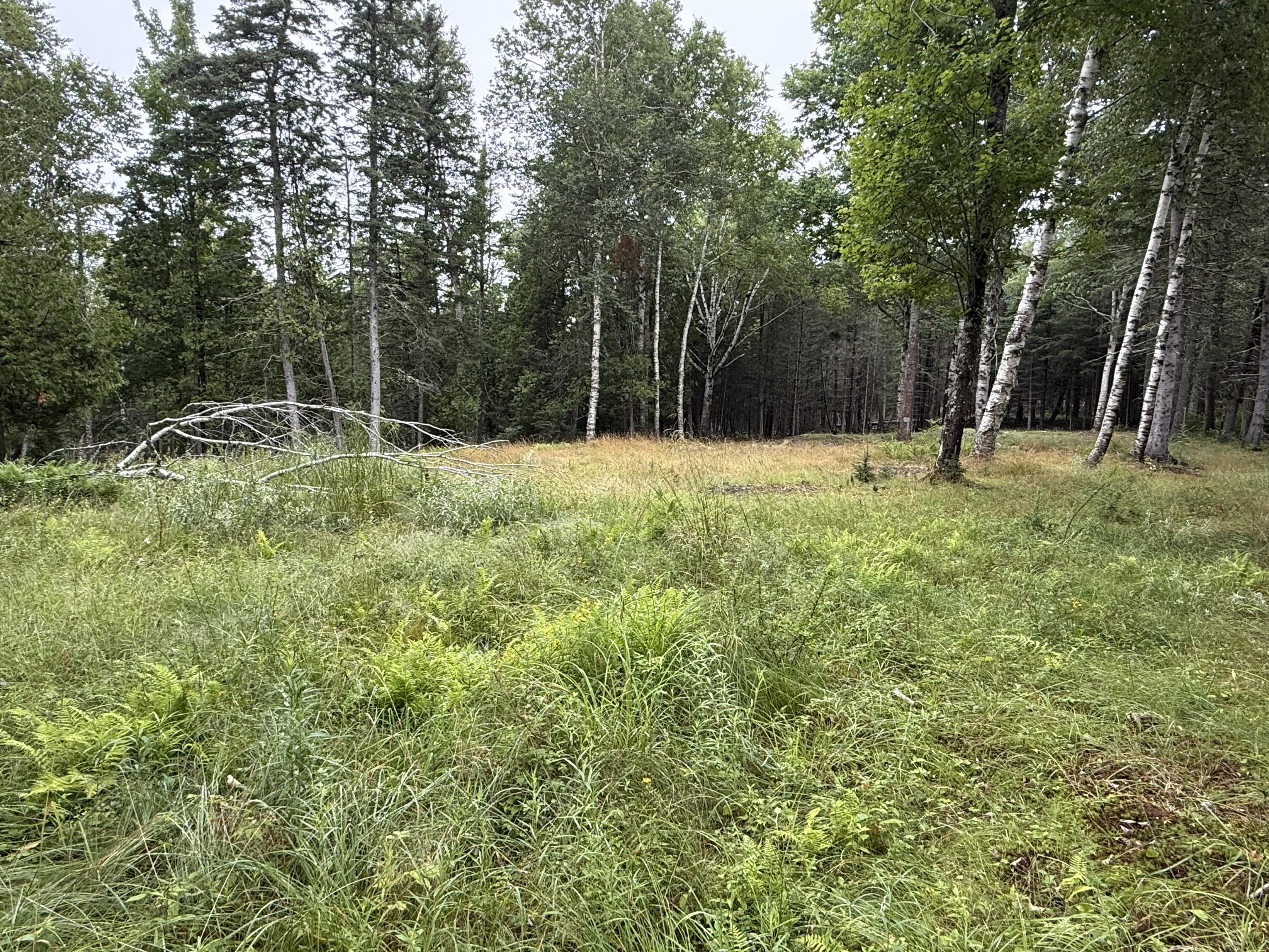 1236 Meadow Pond Road Property Photo 3