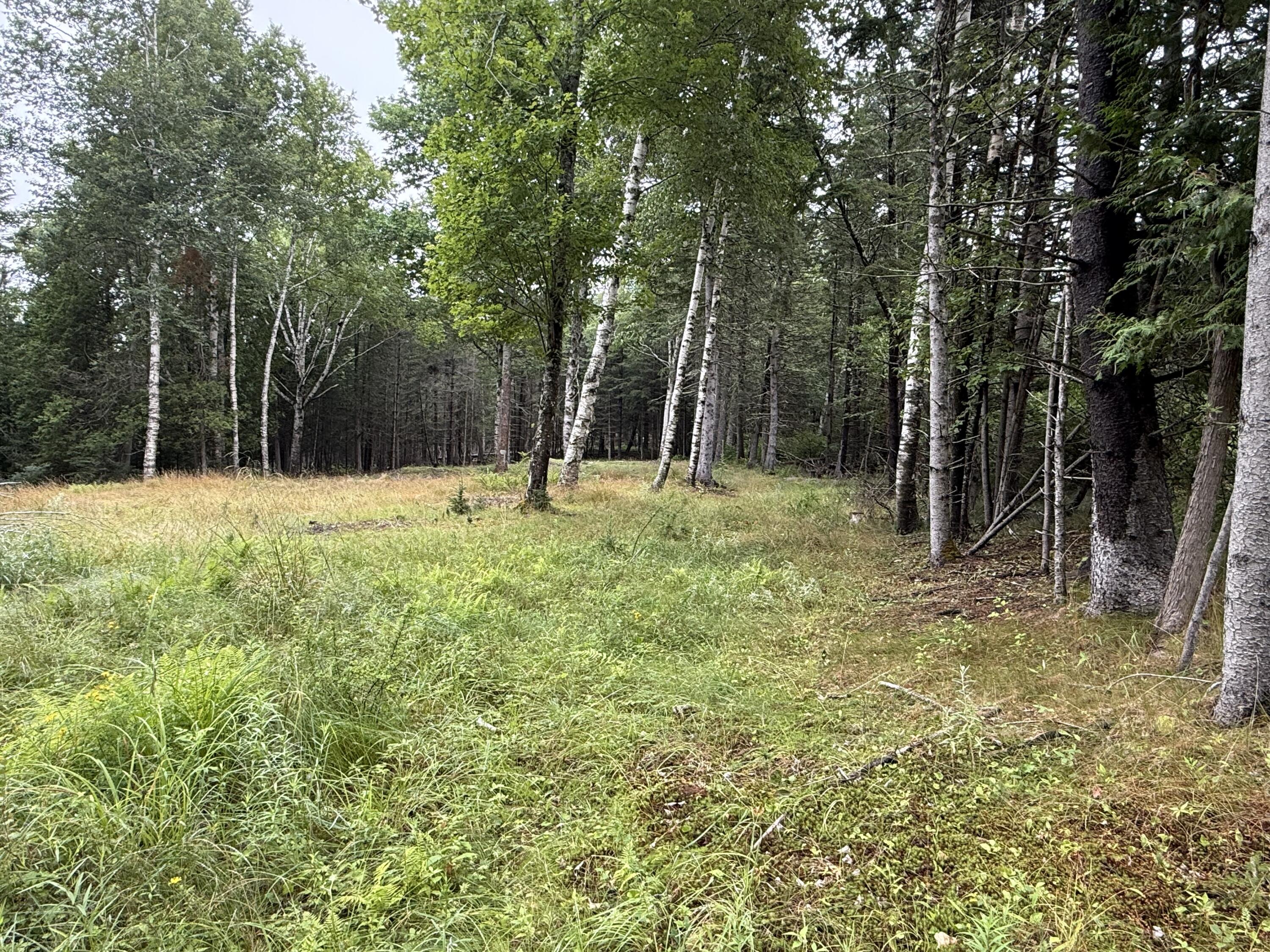 1236 Meadow Pond Road Property Photo 4
