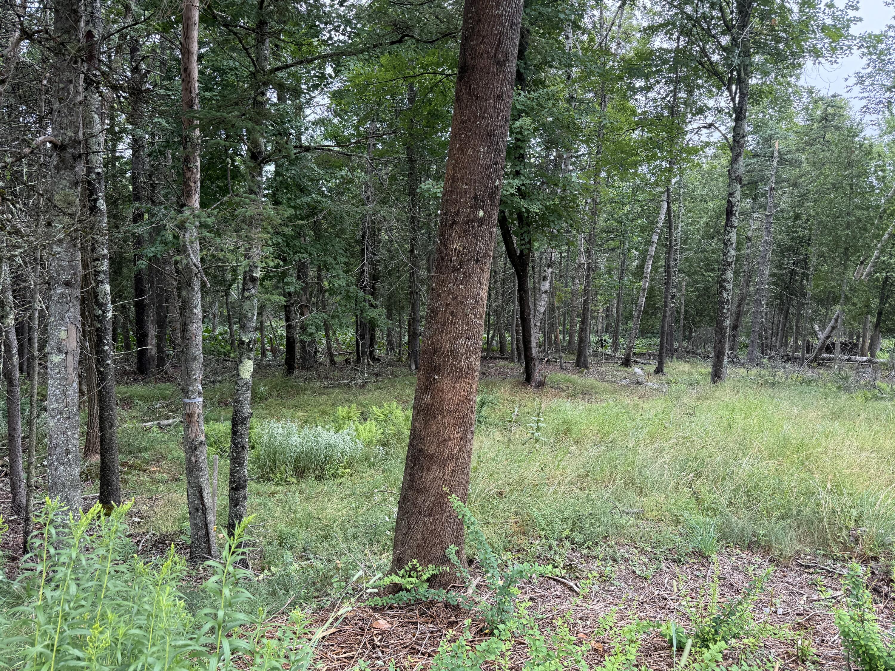 1236 Meadow Pond Road Property Photo 6