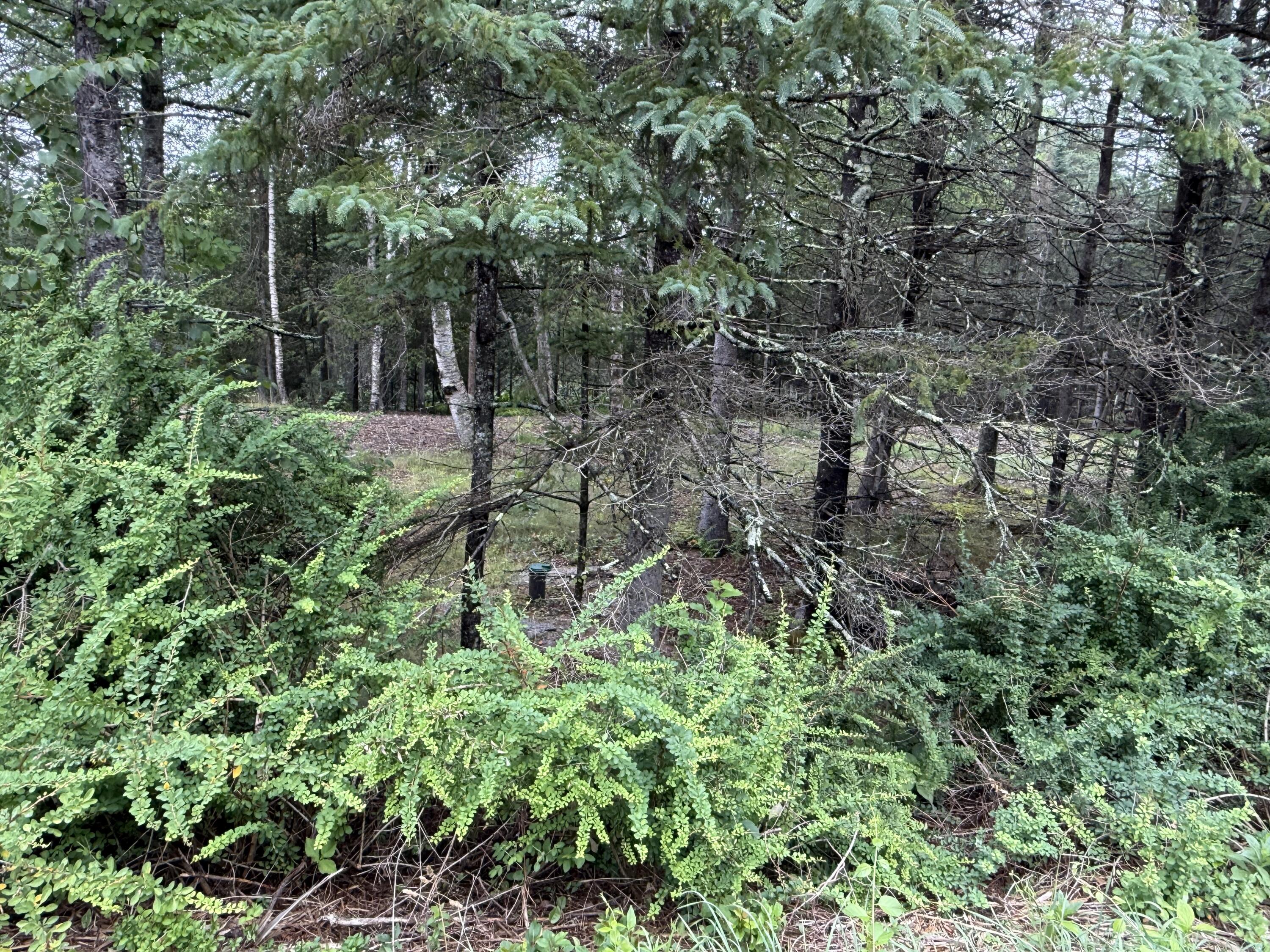 1236 Meadow Pond Road Property Photo 8