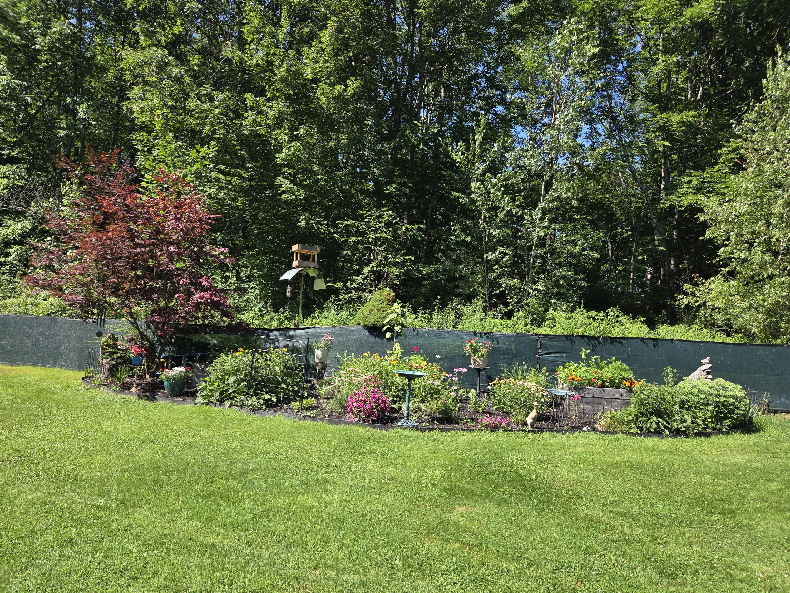 272 Belmont Avenue Property Photo 39