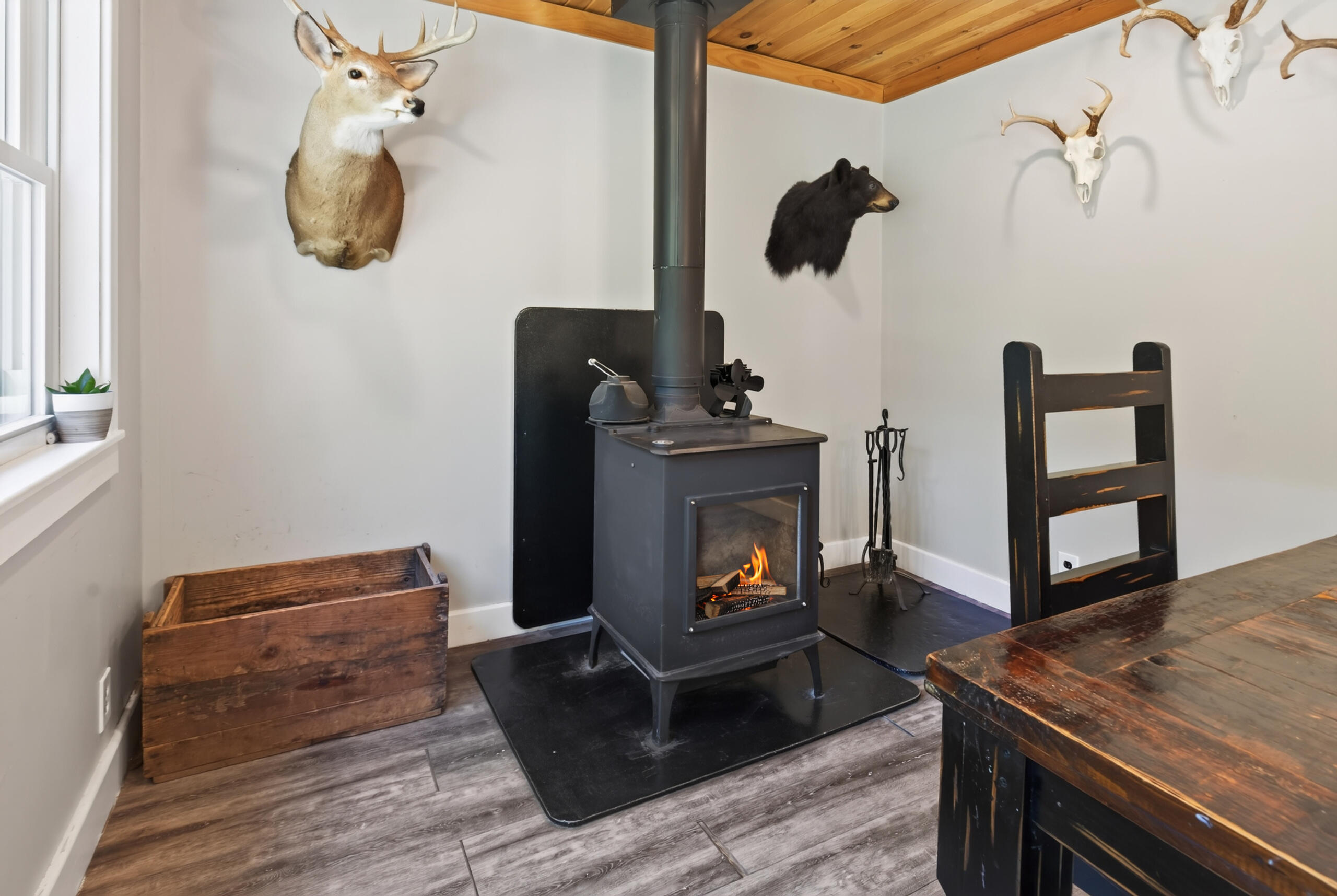 15 Nicholson Avenue Property Photo 8