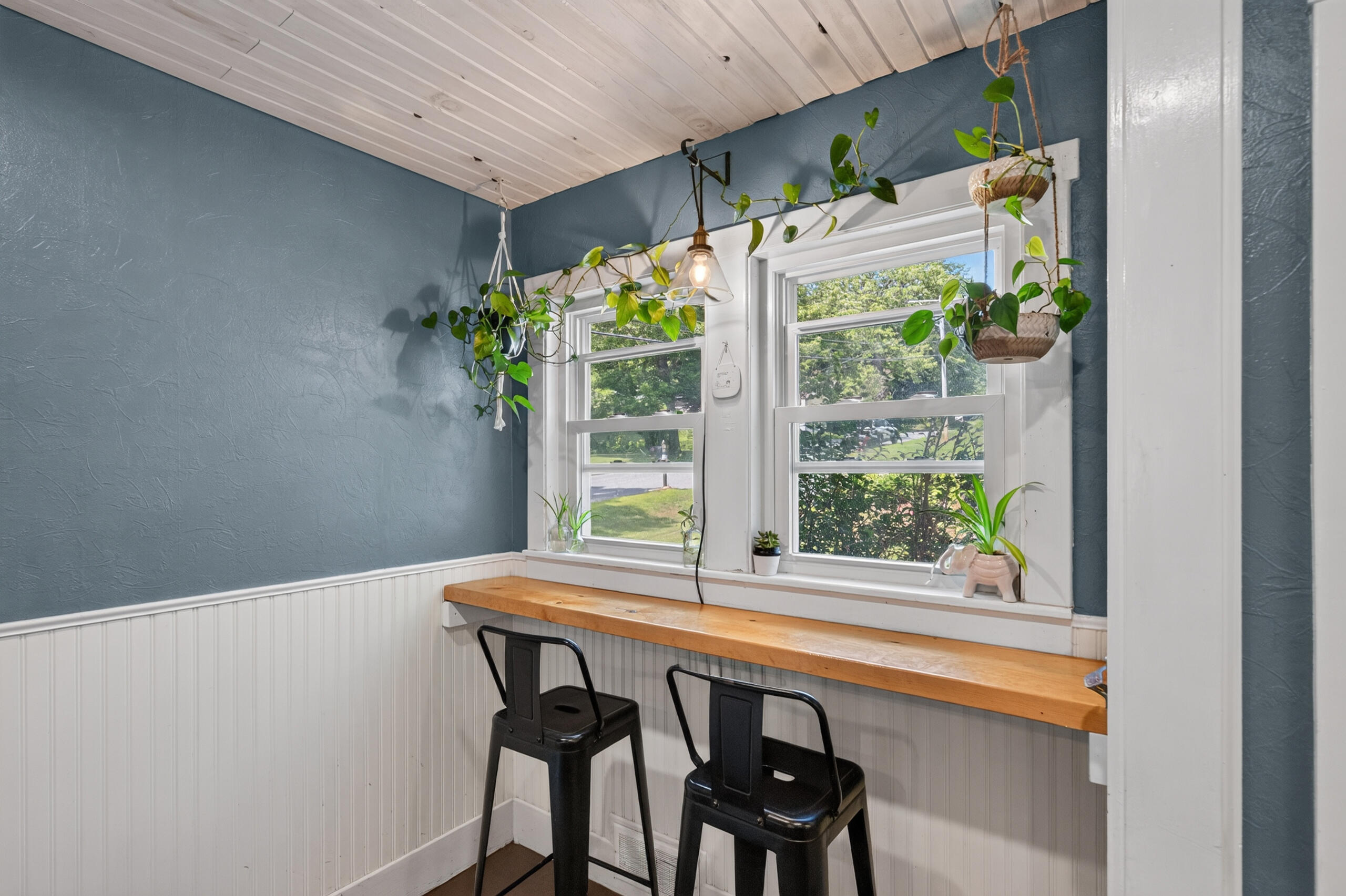 15 Nicholson Avenue Property Photo 11