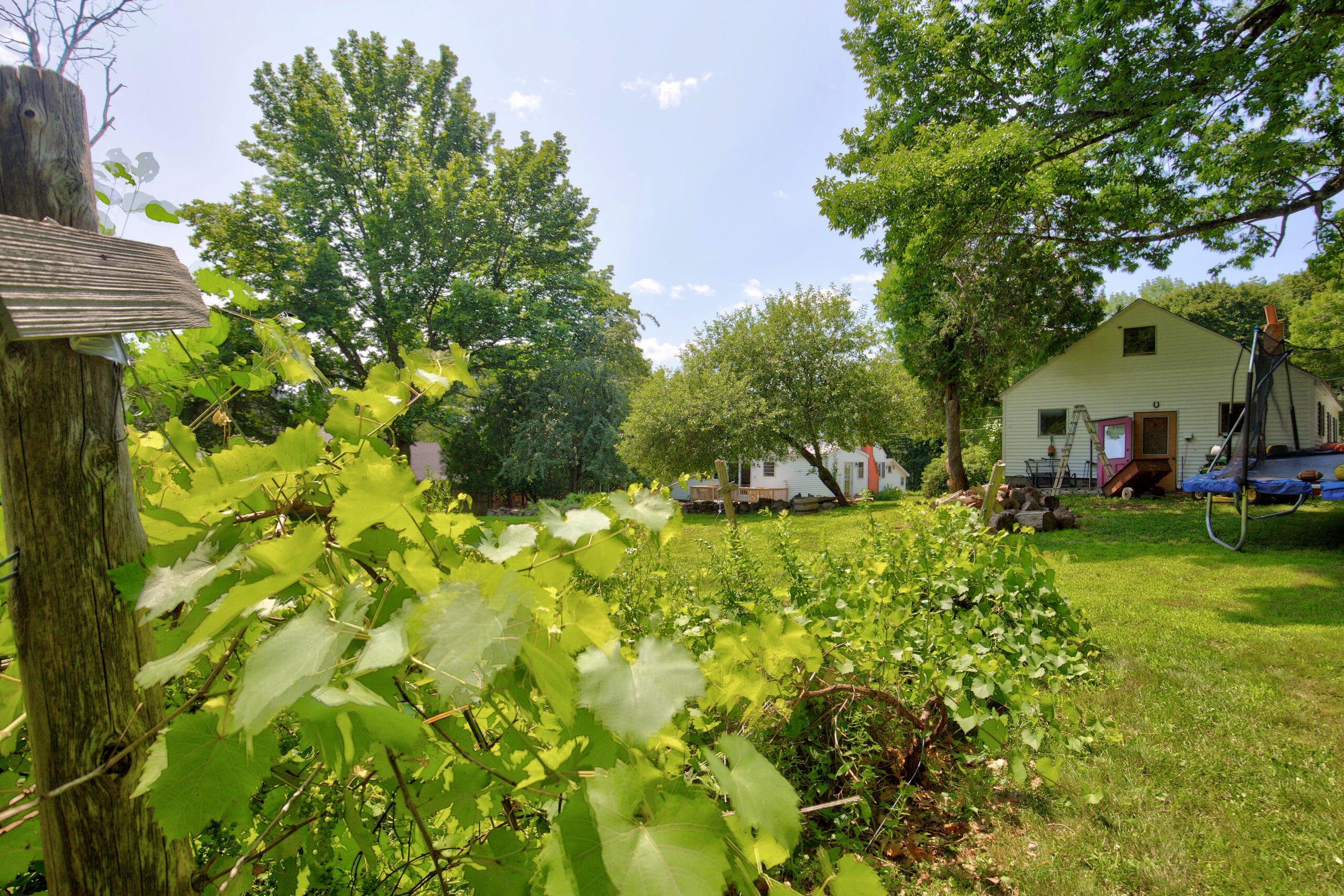 15 Nicholson Avenue Property Photo 55