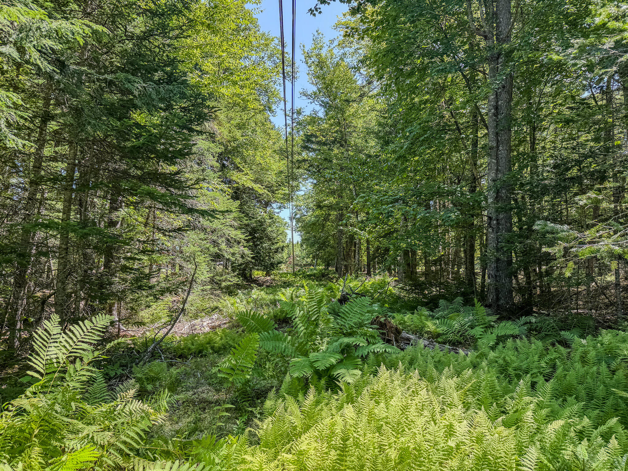 00 Indian Trail Road Property Photo 16