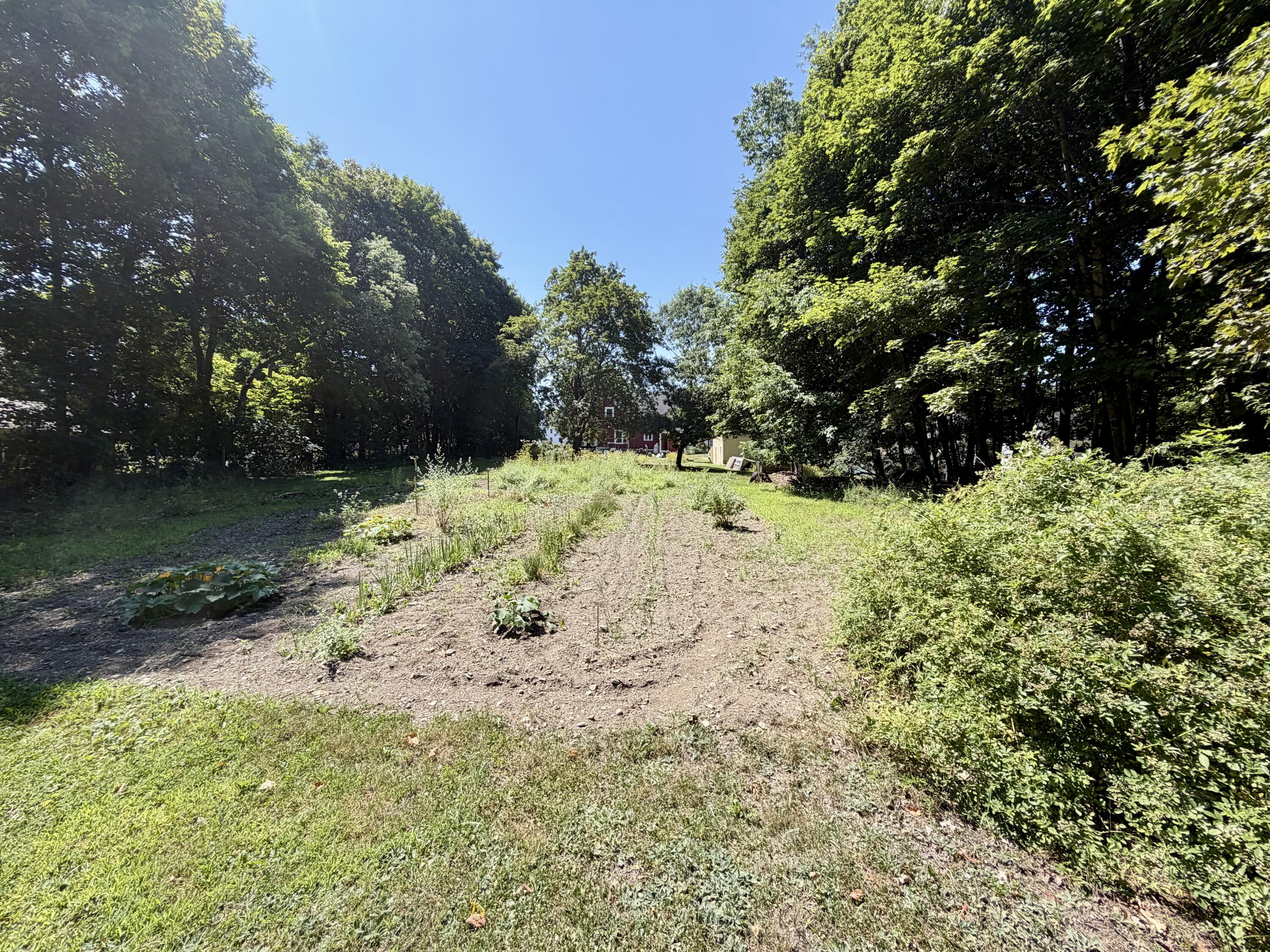 49 Lebanon Road Property Photo 78