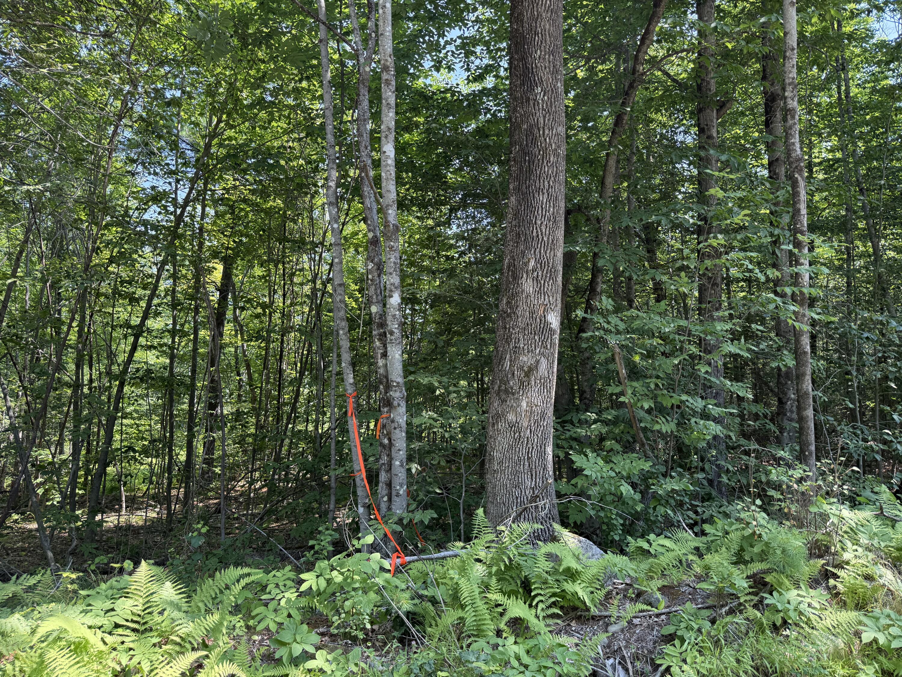 R2 L8-3 Ladd Road Property Photo 1