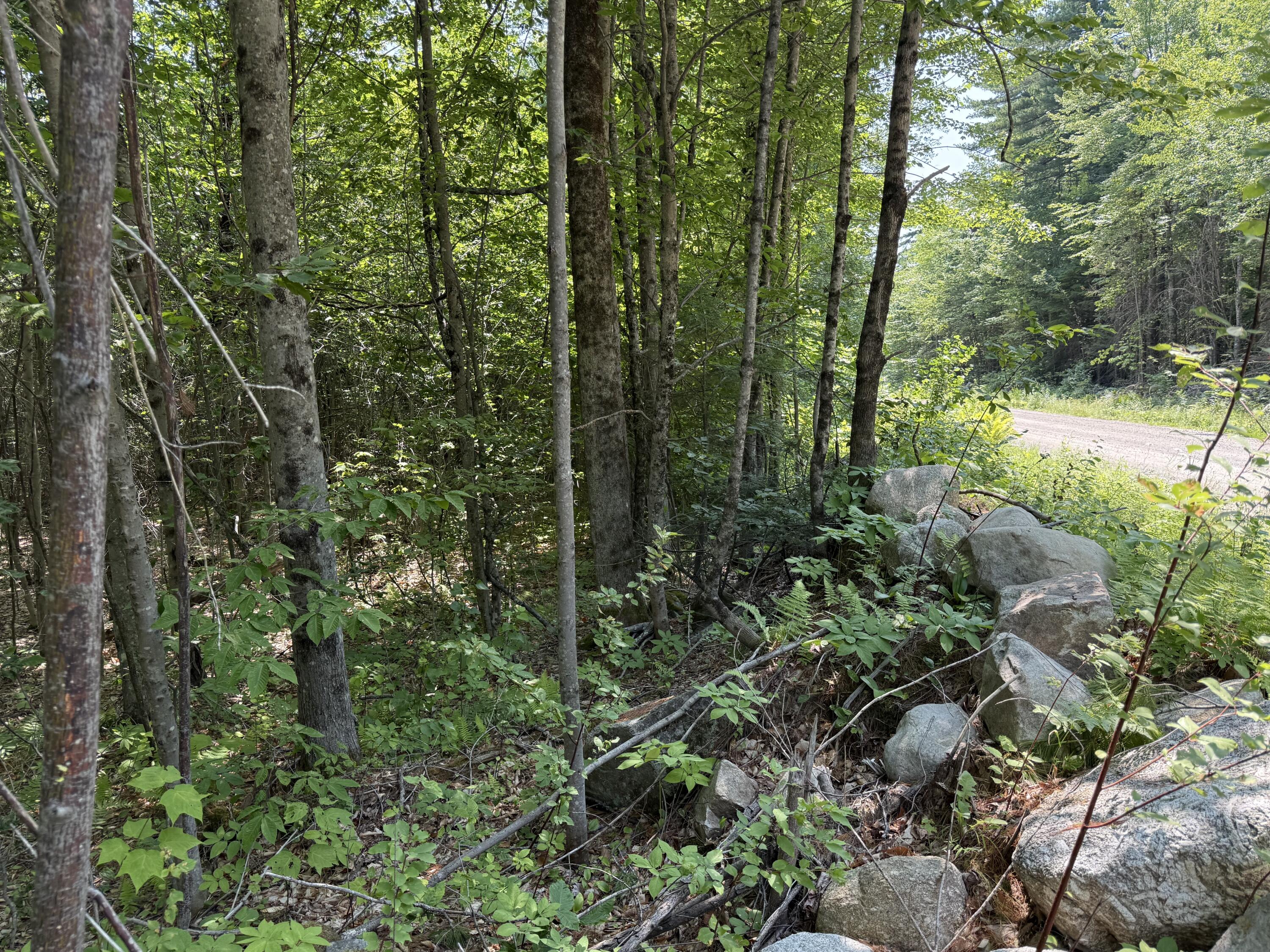 R2 L8-3 Ladd Road Property Photo 3