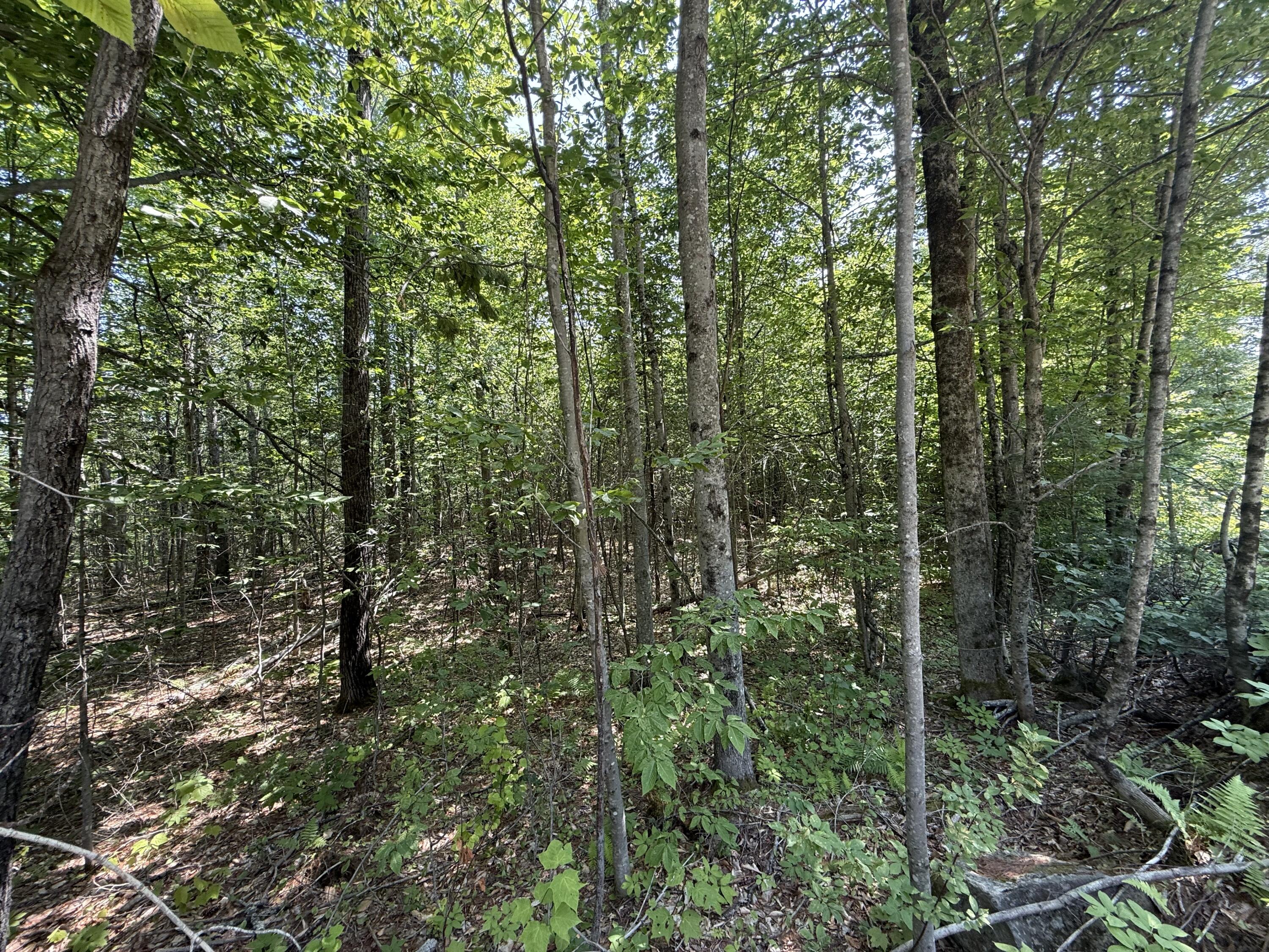 R2 L8-3 Ladd Road Property Photo 6