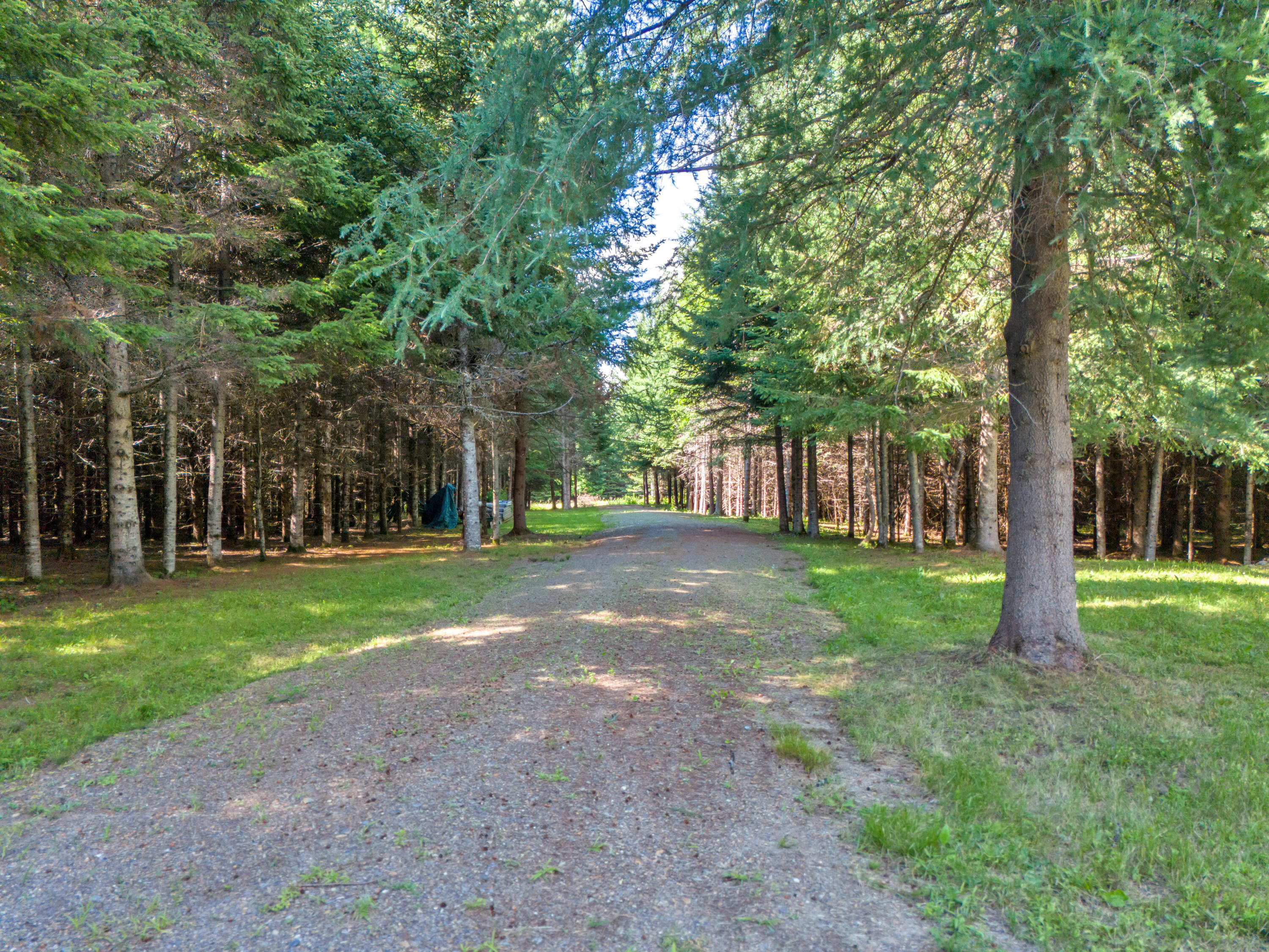 963b Rangeley Road Property Photo 3