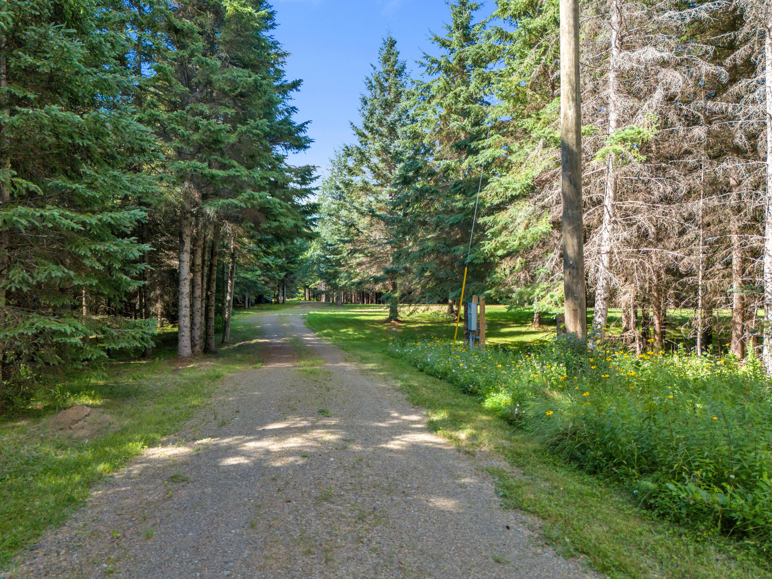 963b Rangeley Road Property Photo 6