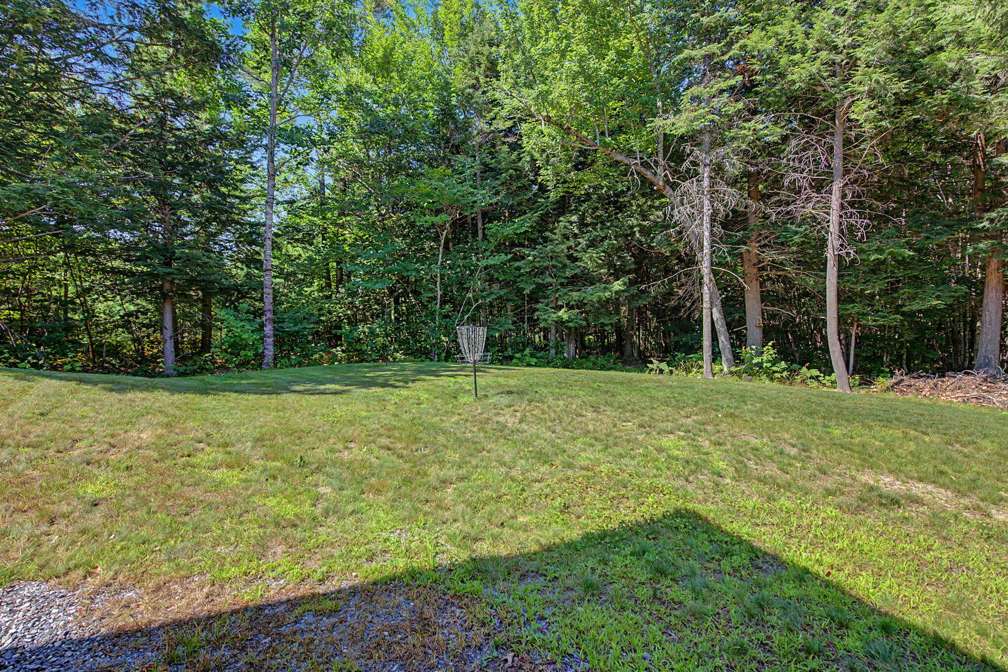 49 Lion Lane Property Photo 29