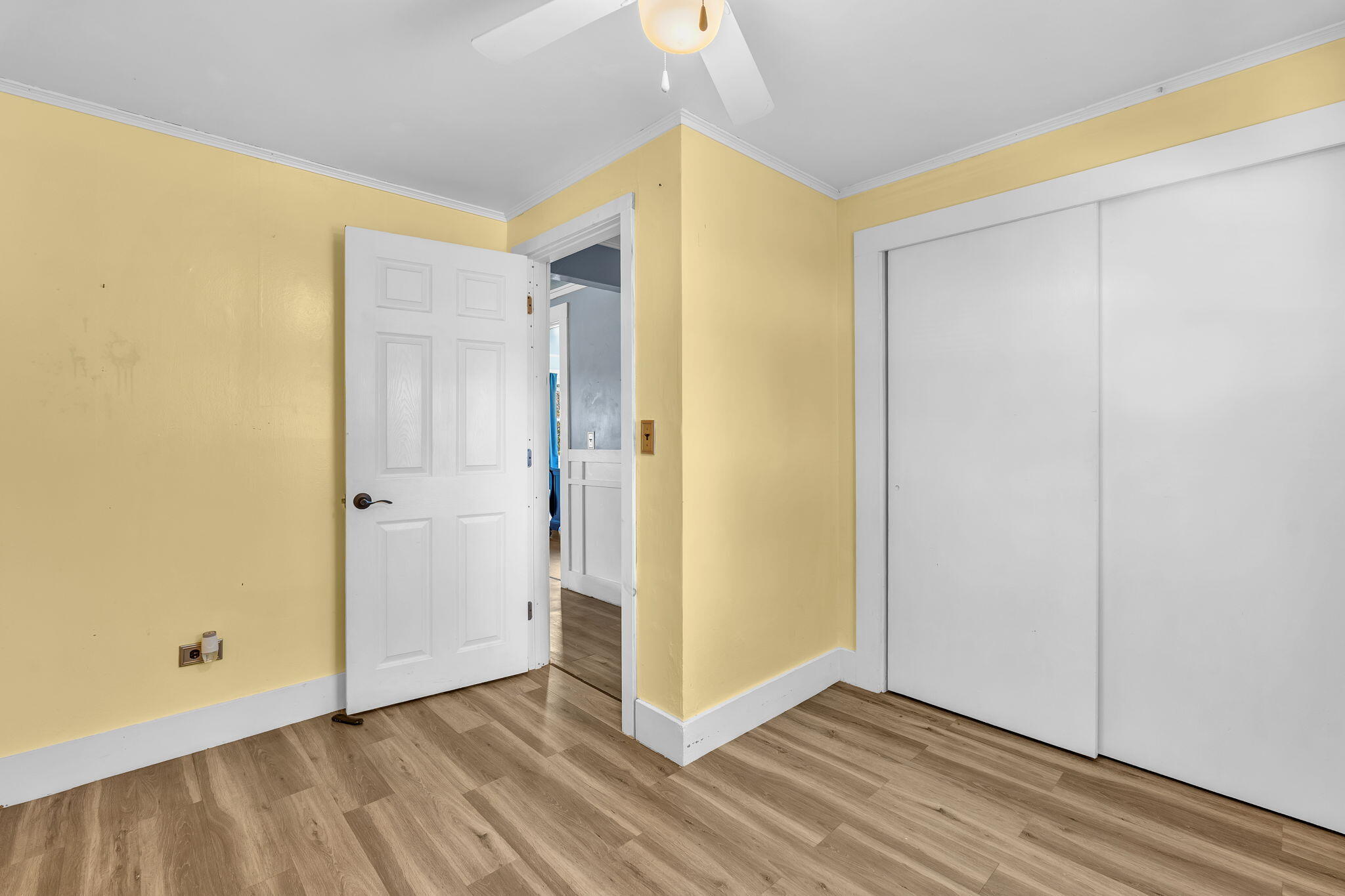 20 Burton Street Property Photo 41