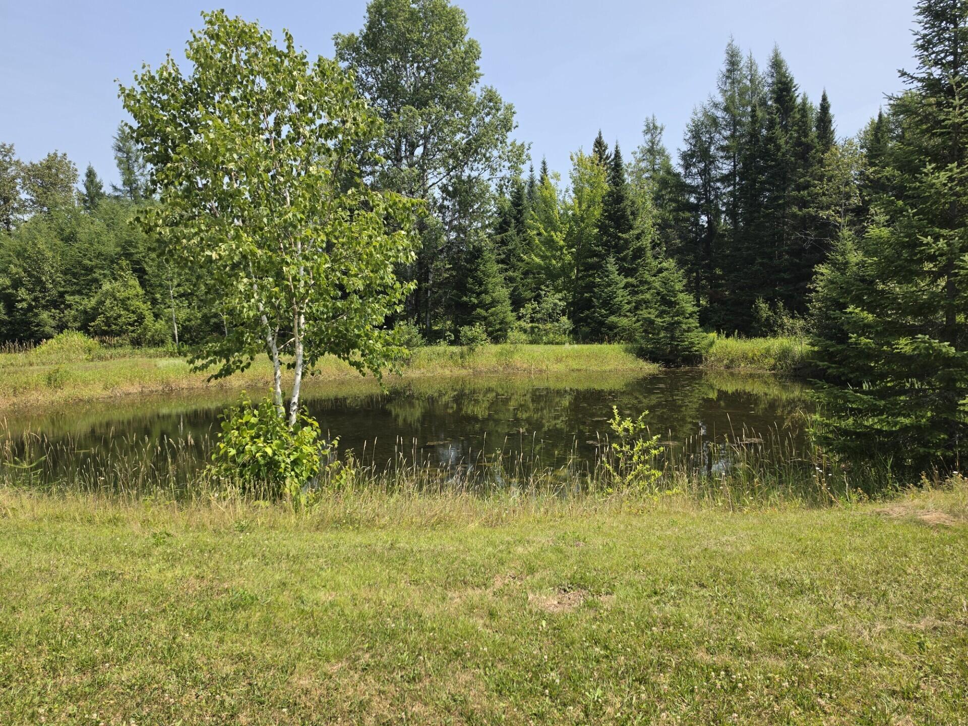 2249 Van Buren Road Property Photo 6