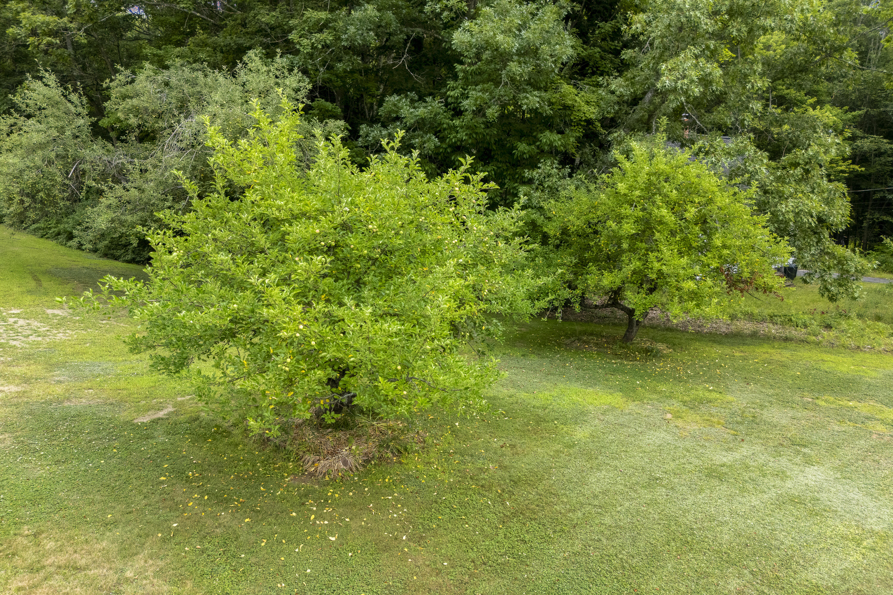 17 Adams Circle Property Photo 47