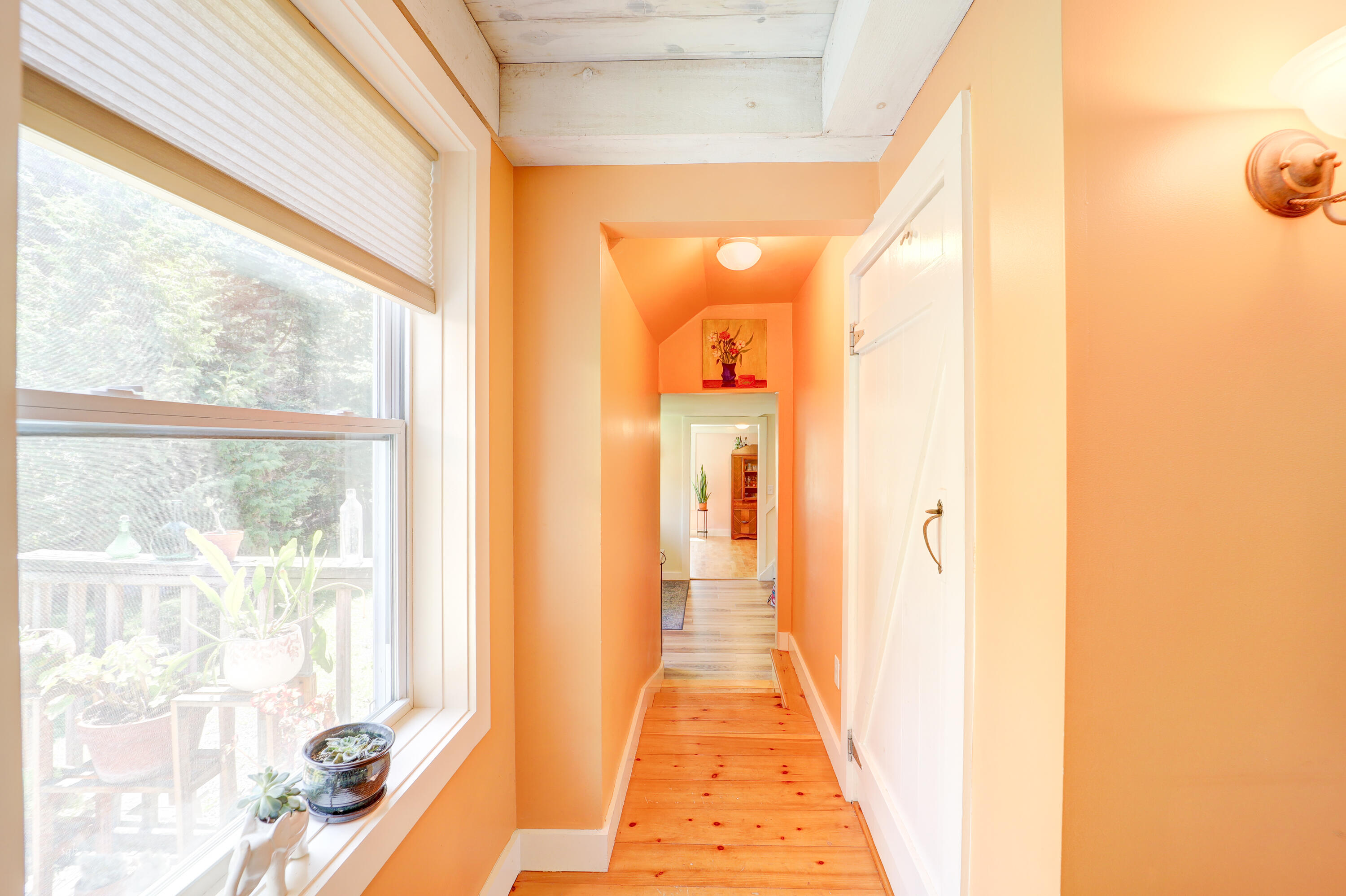 163 Jay Carter Road Property Photo 11