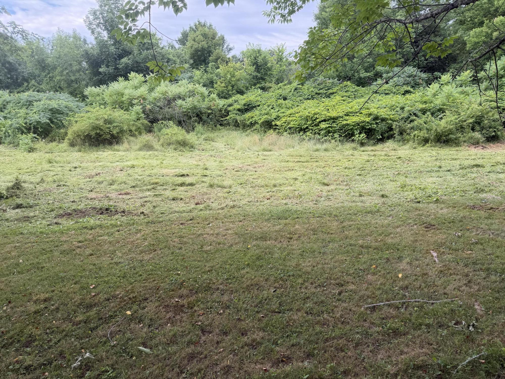 371 E Neck Road Property Photo 3