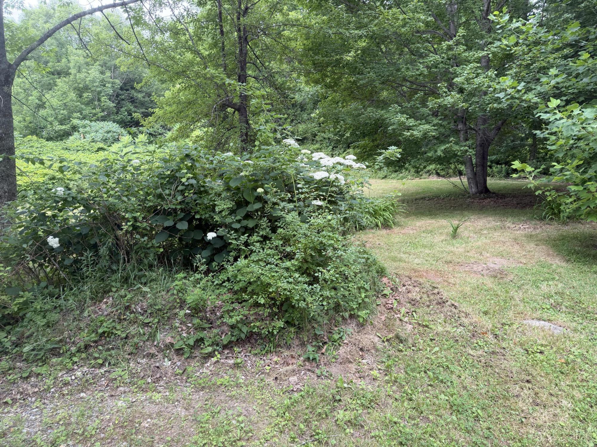 371 E Neck Road Property Photo 4