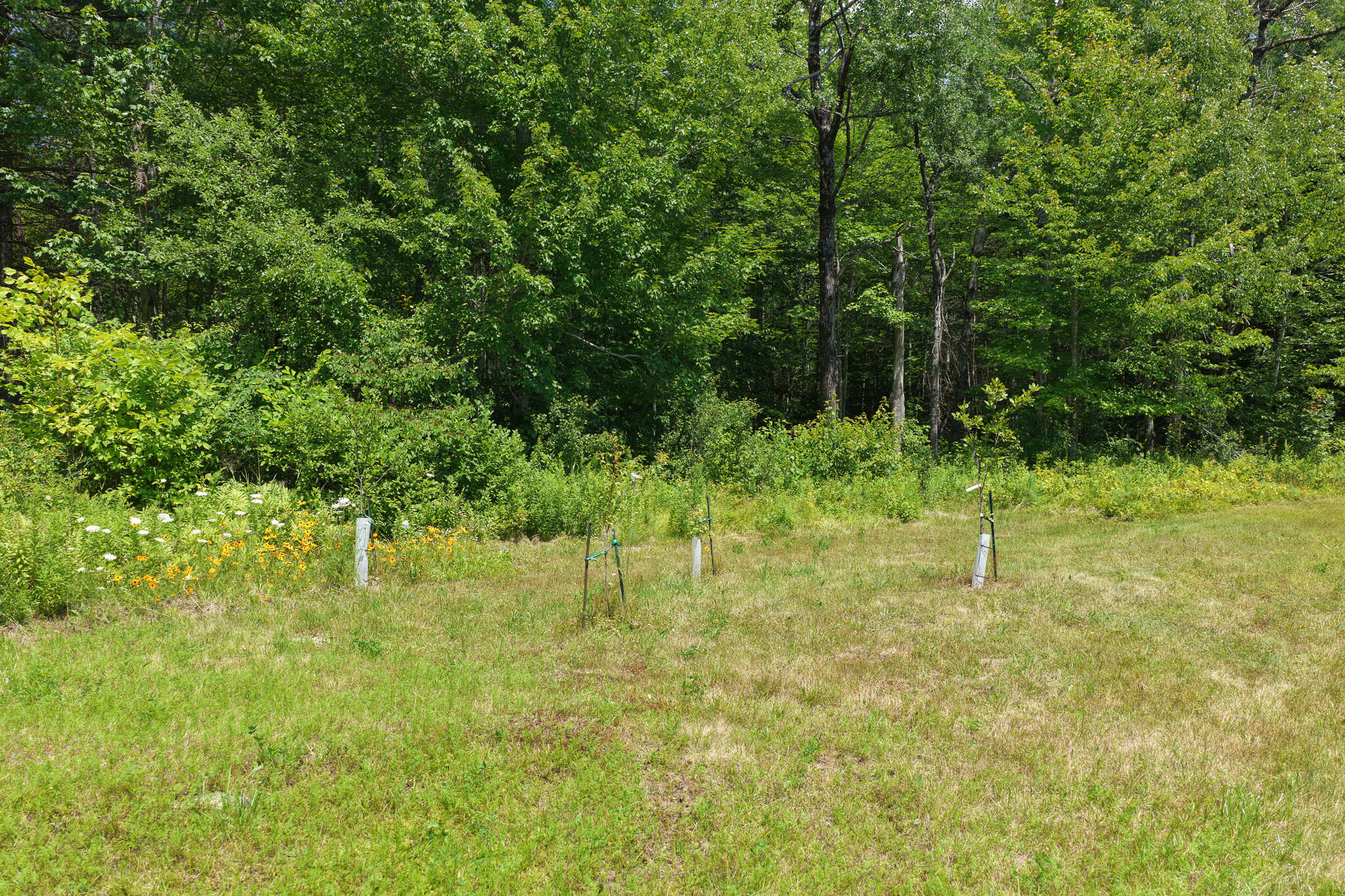 515 Dodlin Road Property Photo 12