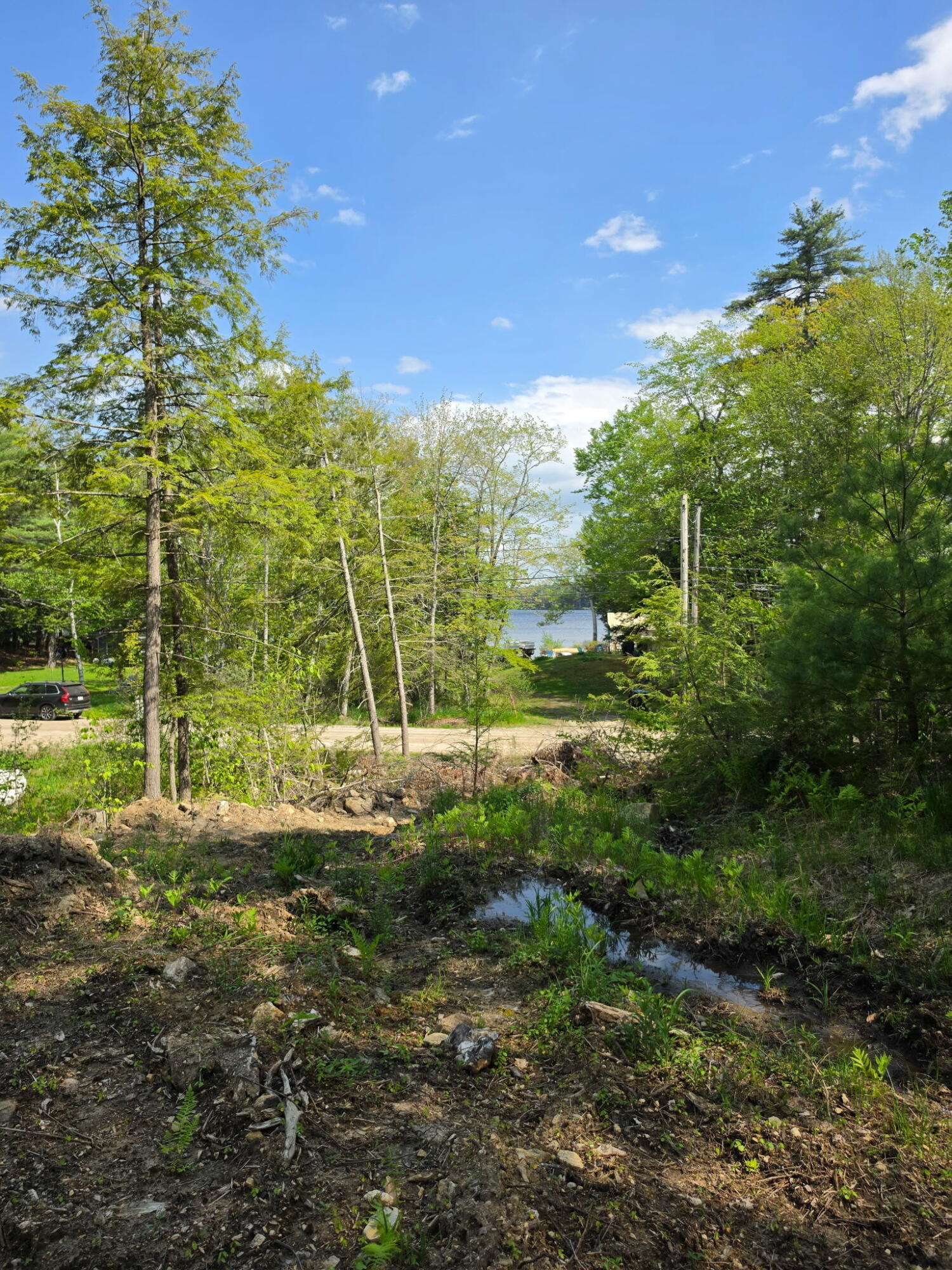 78 Lakeside Drive Property Photo 12