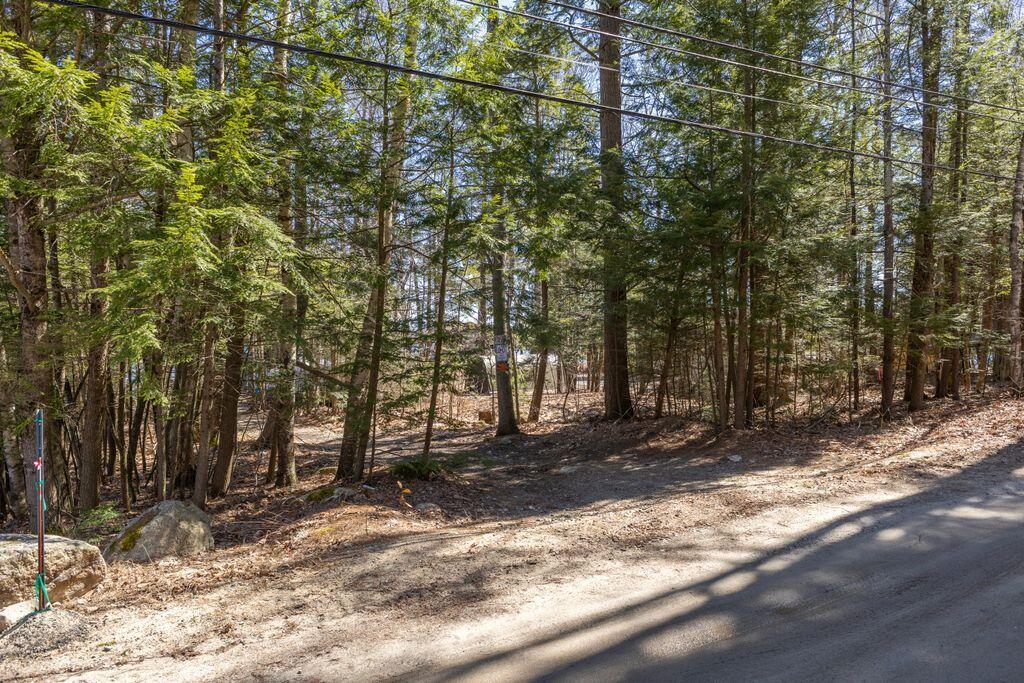 78 Lakeside Drive Property Photo 18