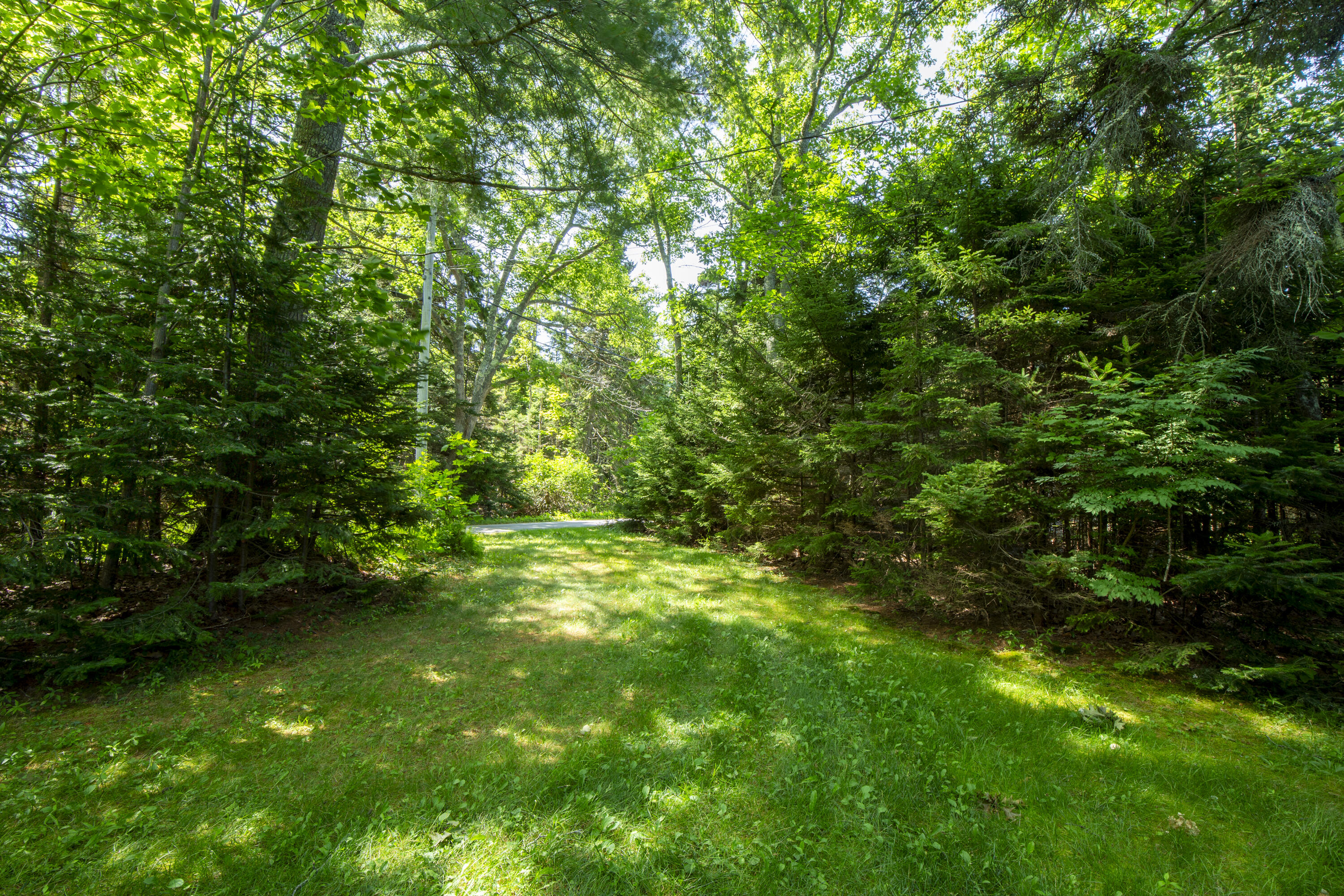 51 Roderick Road Property Photo 21