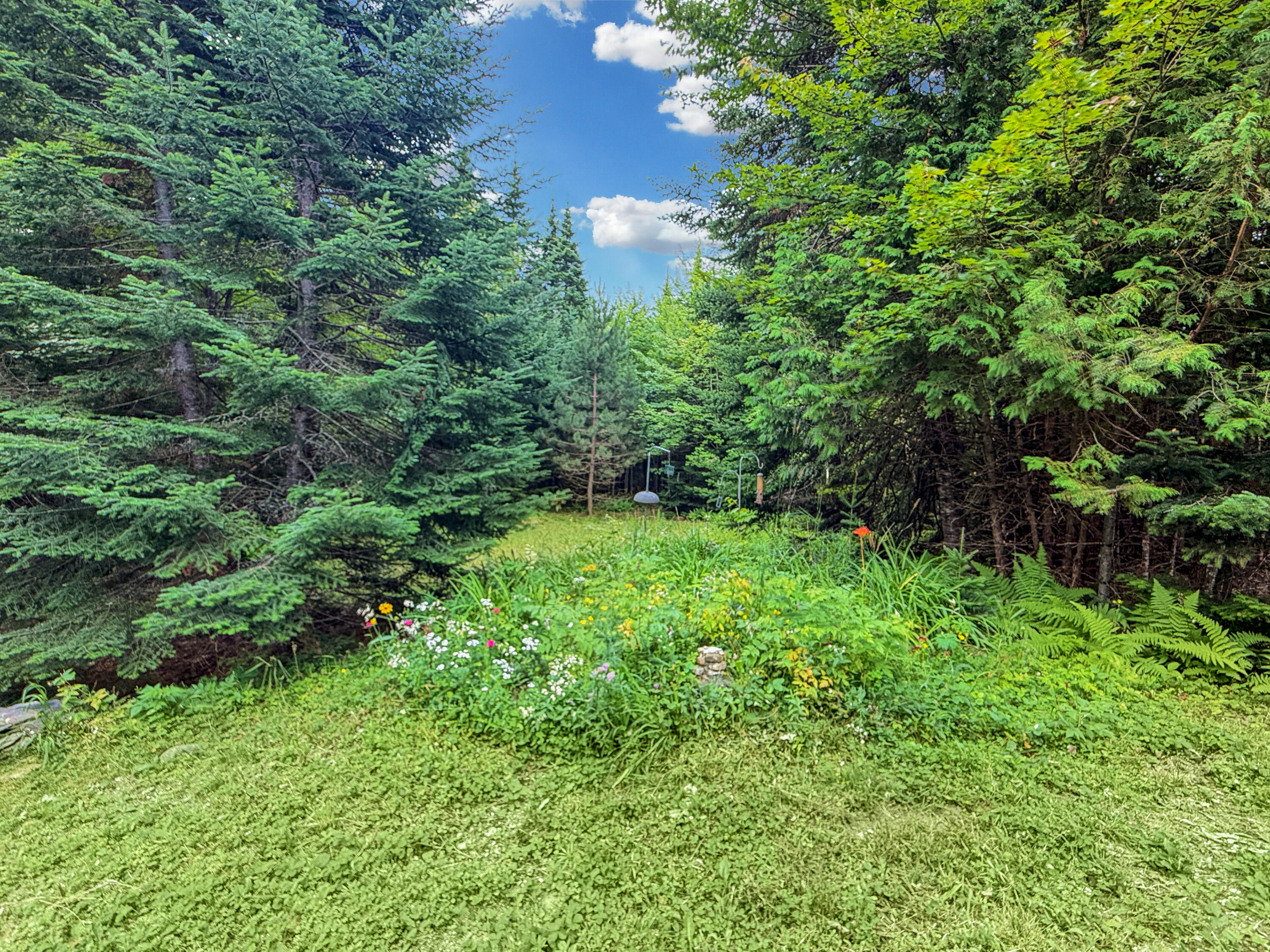 43 Hawksholm Trail Property Photo 7