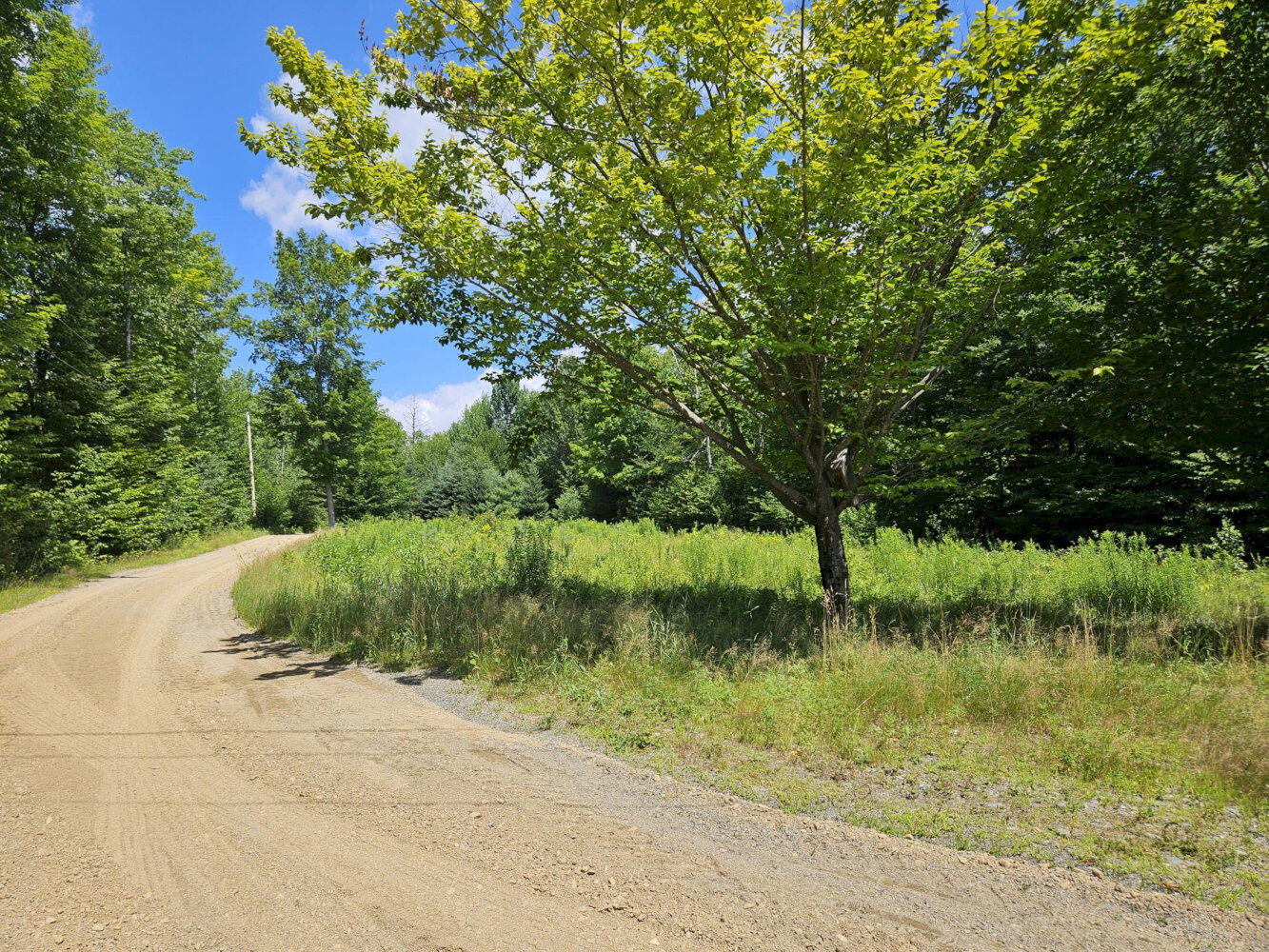 641 New Portland Hill Road Property Photo 3