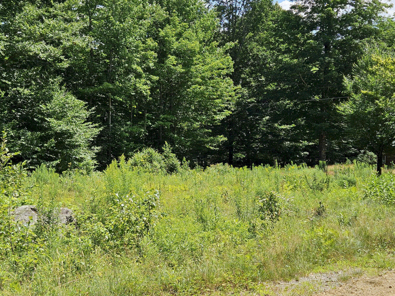 641 New Portland Hill Road Property Photo 6