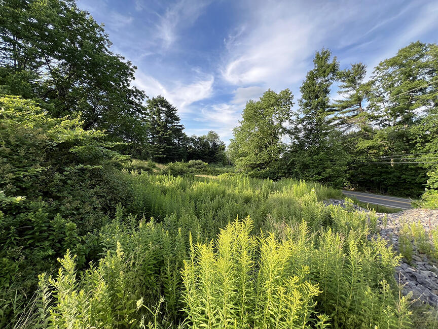 Lot 36 Leighton Road Property Photo 5