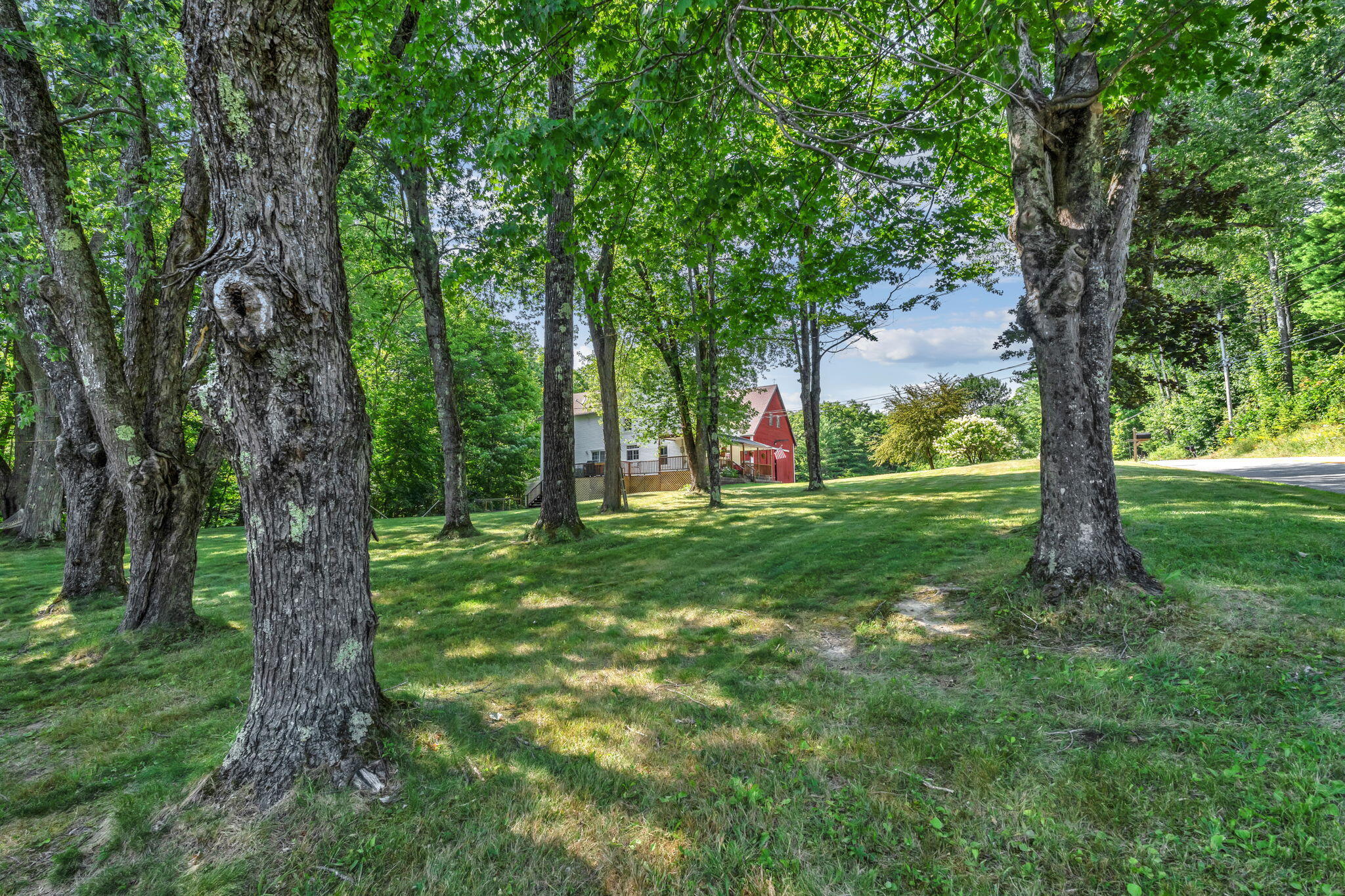 199 Pinewoods Road Property Photo 69
