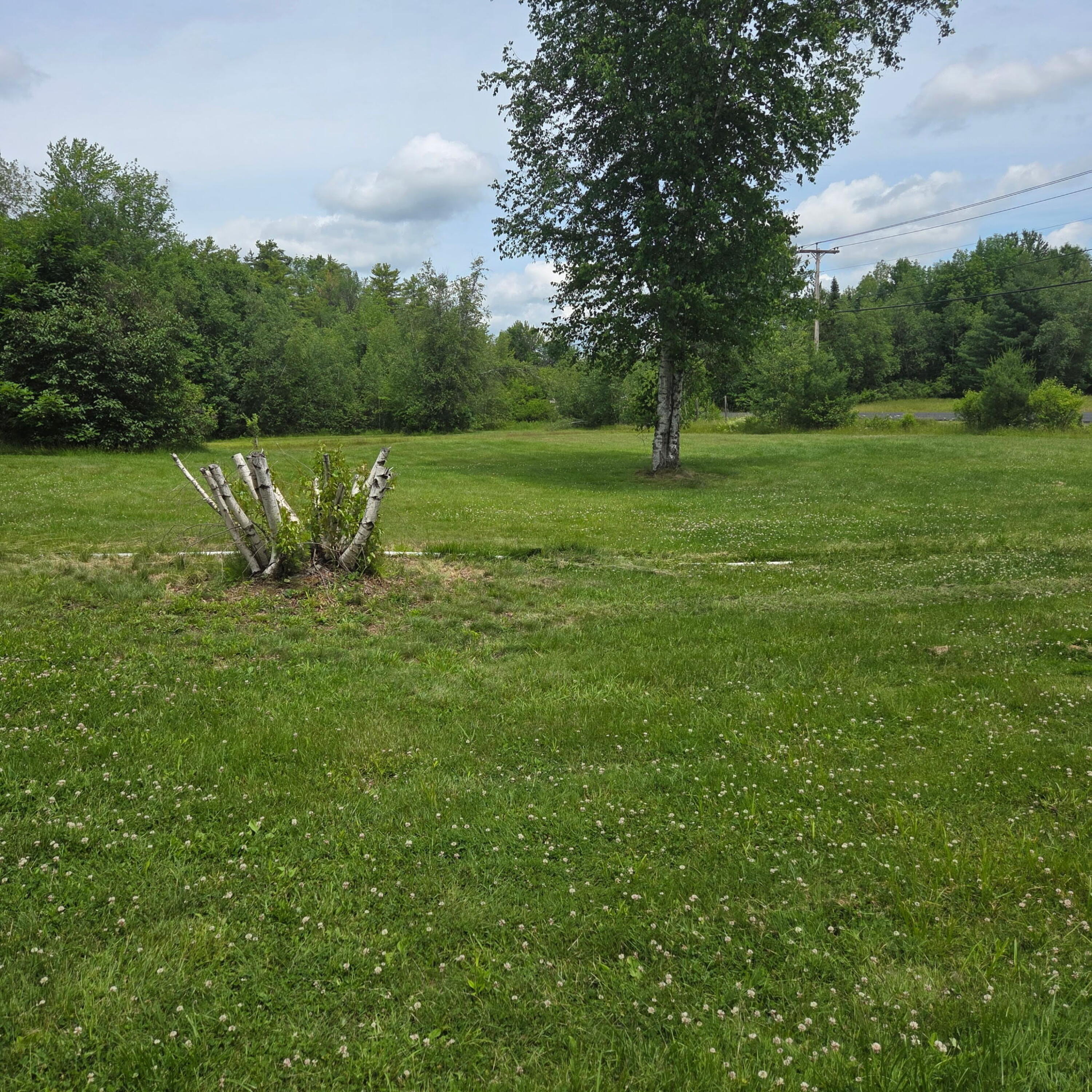 250 Smithfield Road Property Photo 23