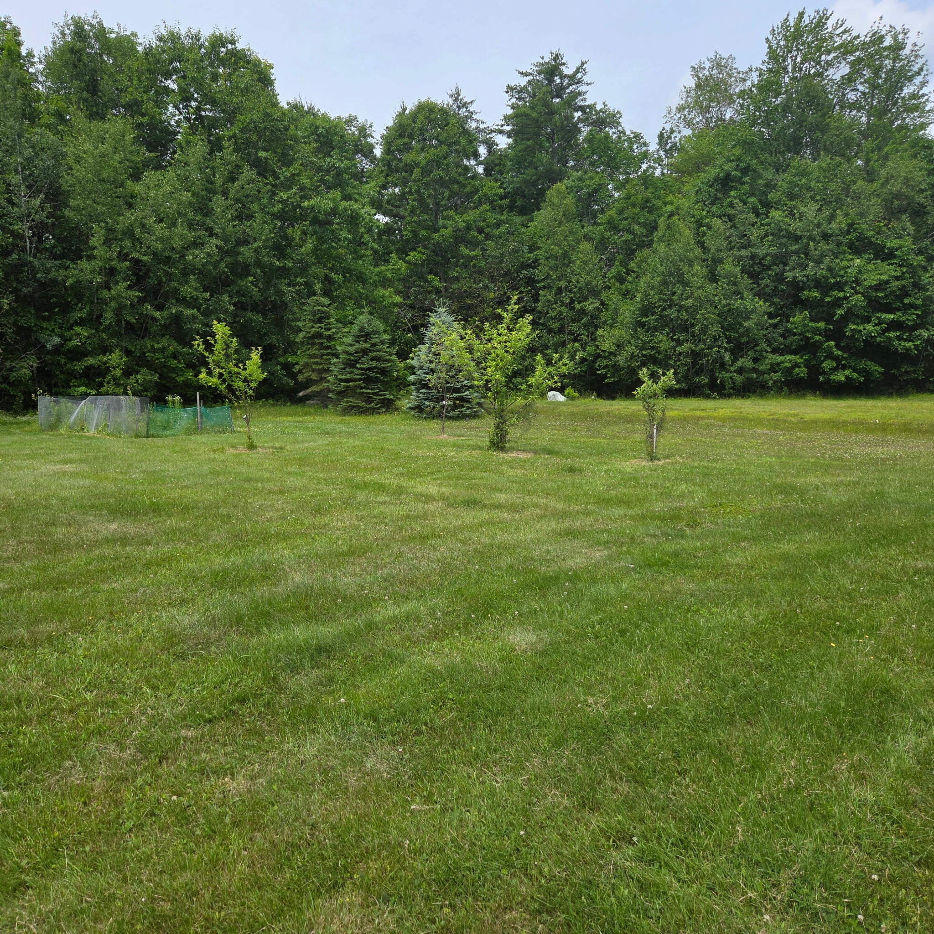 250 Smithfield Road Property Photo 25