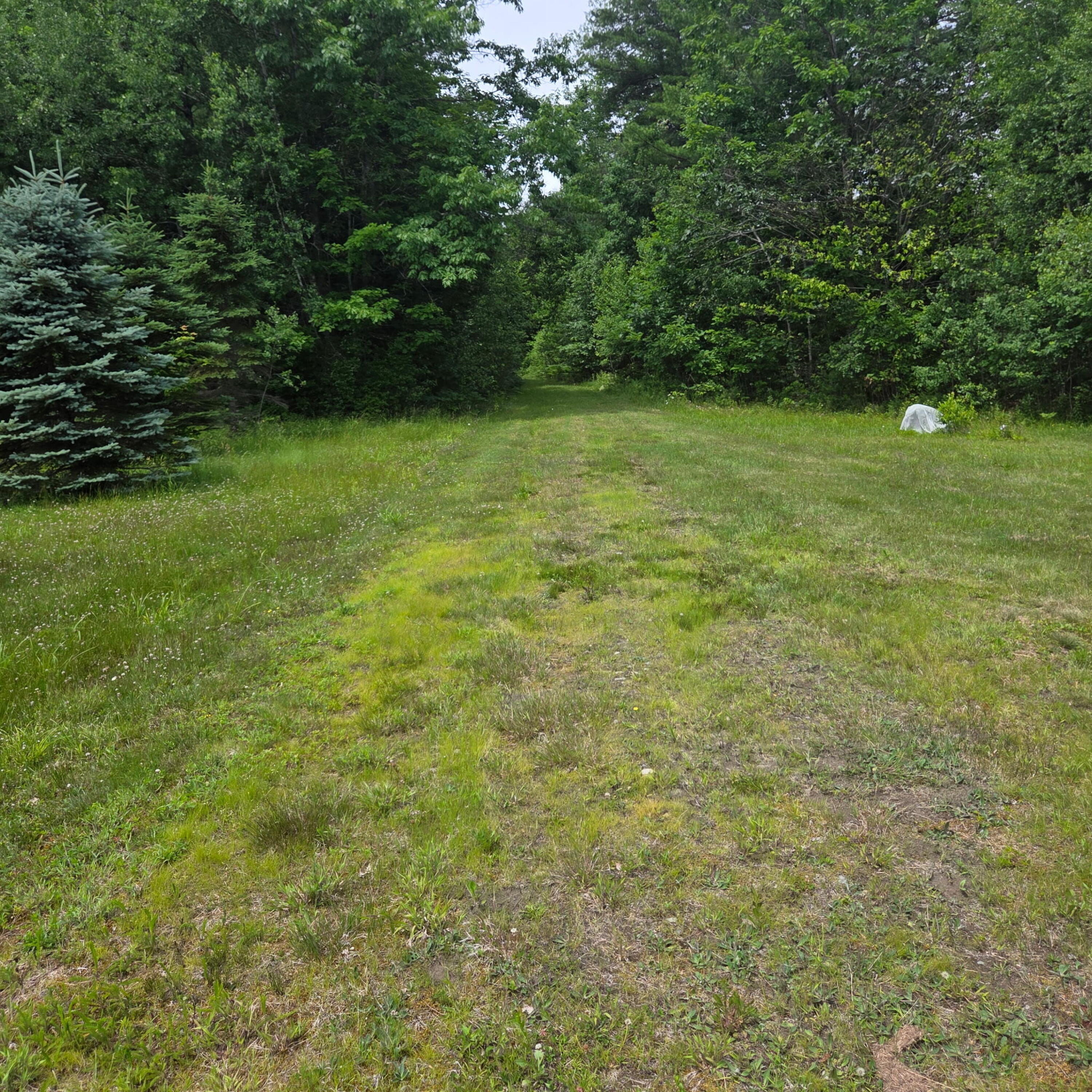 250 Smithfield Road Property Photo 26