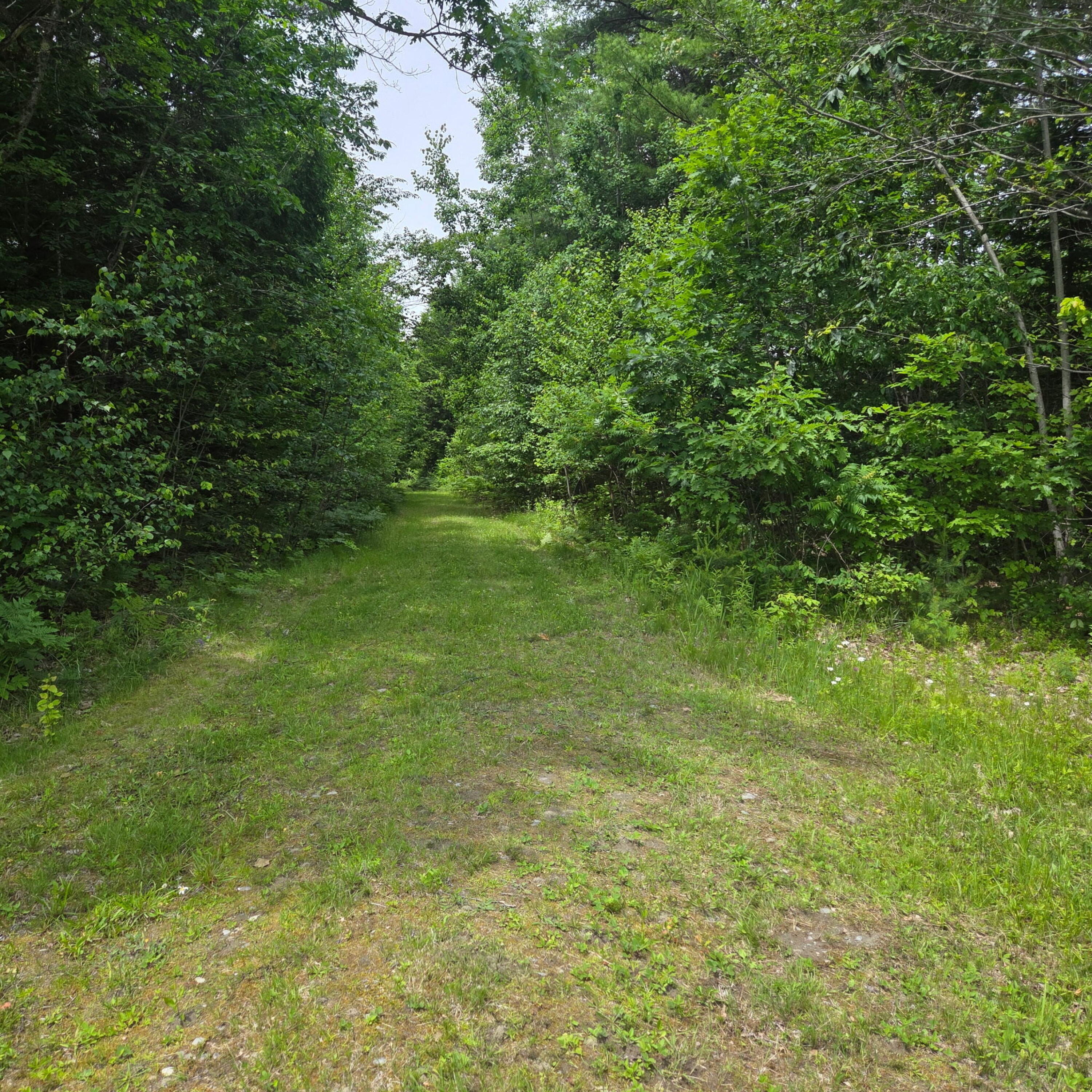 250 Smithfield Road Property Photo 29