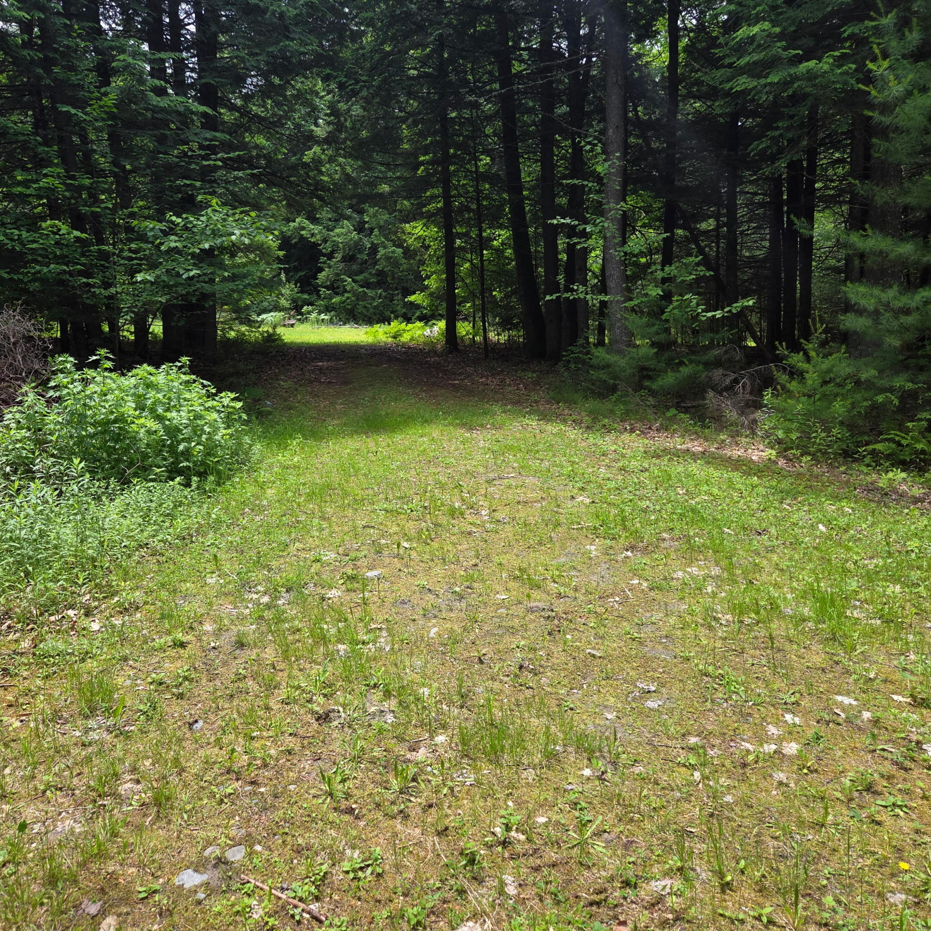 250 Smithfield Road Property Photo 31