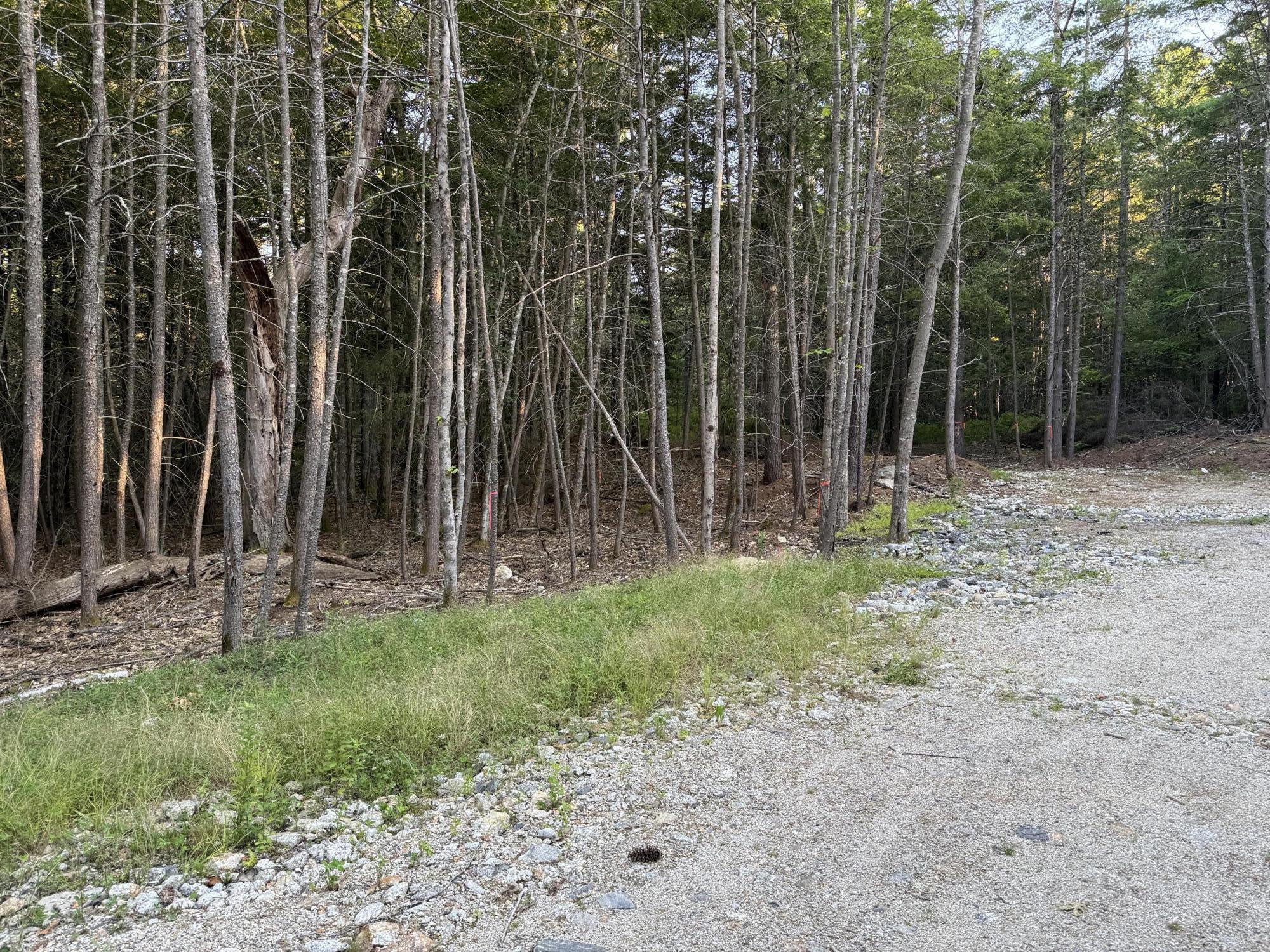 Lot # 23 Wilderness Drive Property Photo 1